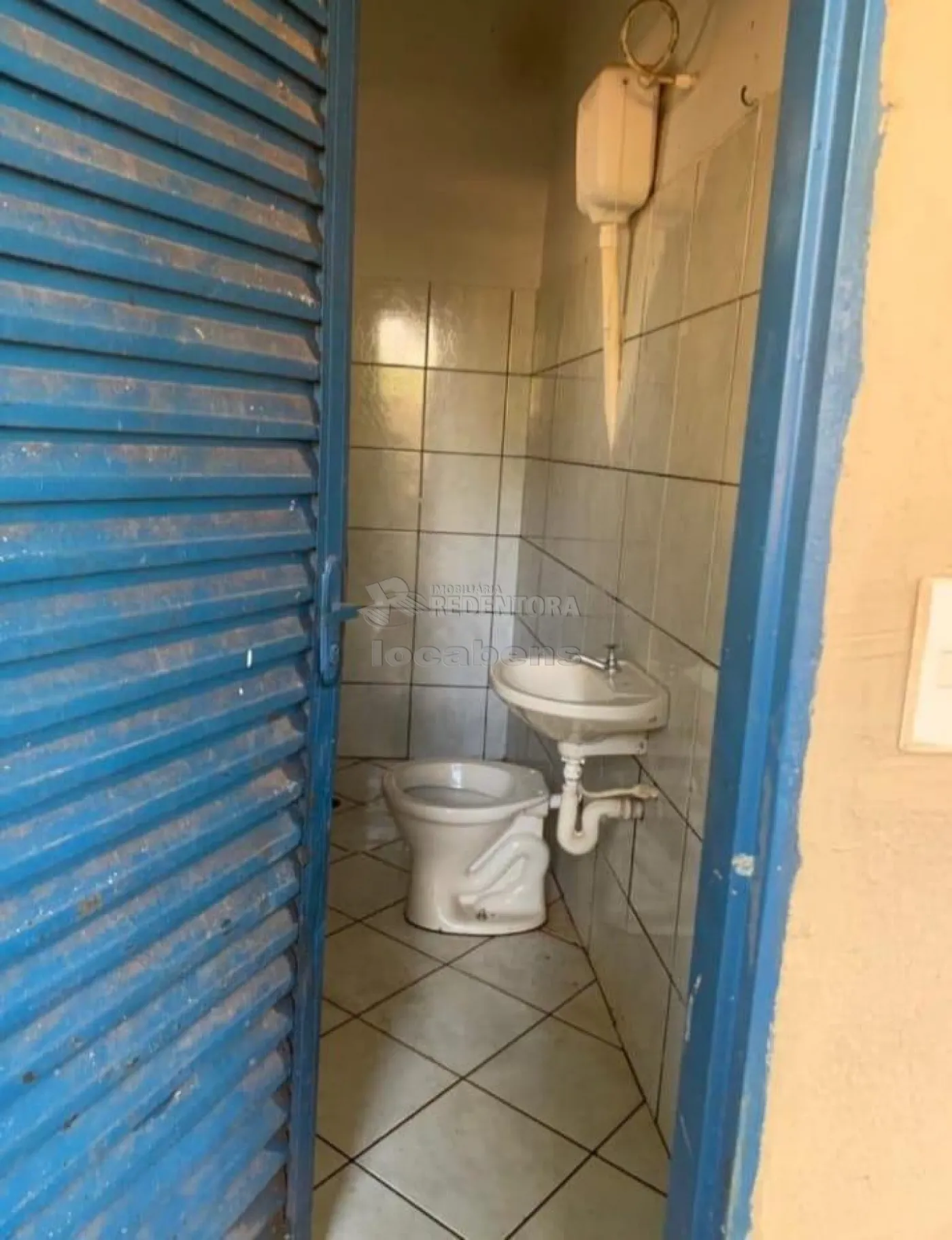 Chácara, 3 hectares - Foto 14