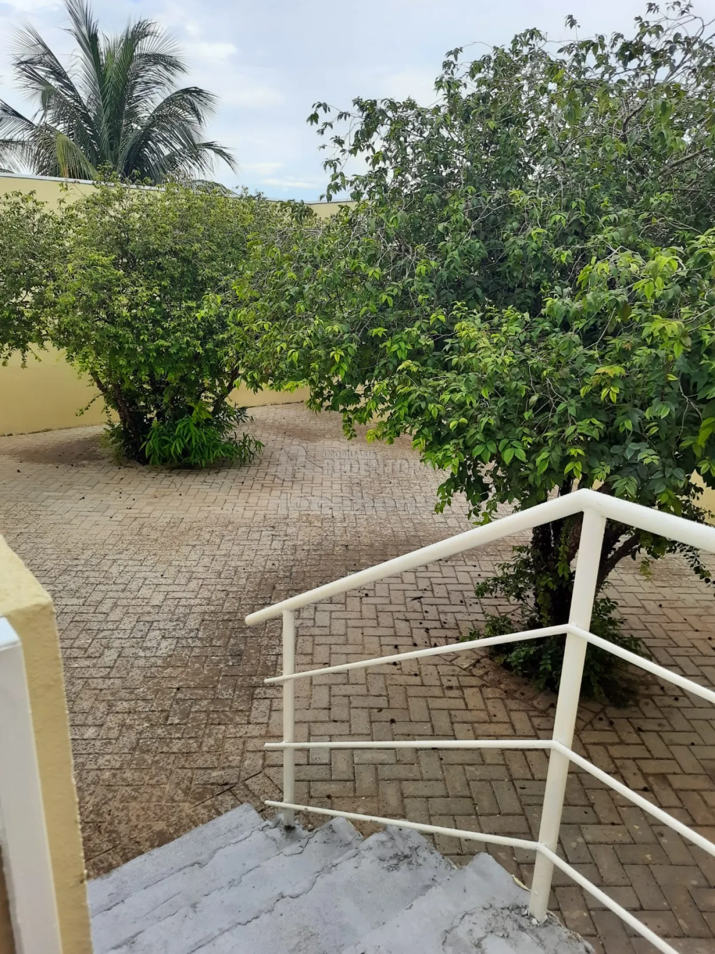 Alugar Casa / Padr&atilde;o em S&atilde;o Jos&eacute; do Rio Preto R$ 2.700,00 - Foto 9