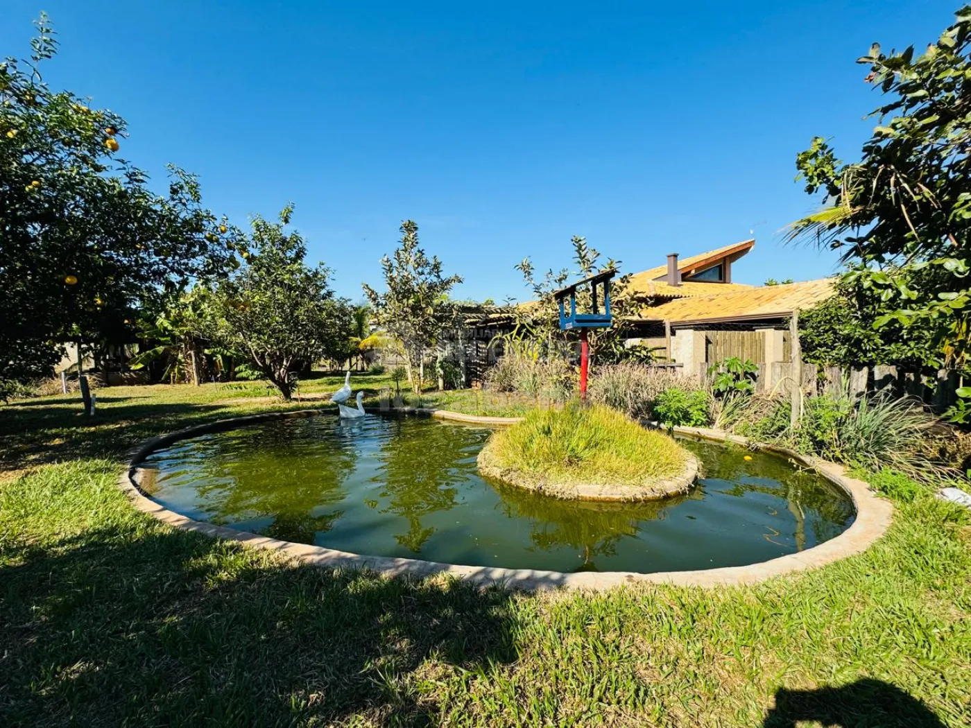 Comprar Casa / Condom&iacute;nio em S&atilde;o Jos&eacute; do Rio Preto R$ 8.500.000,00 - Foto 57