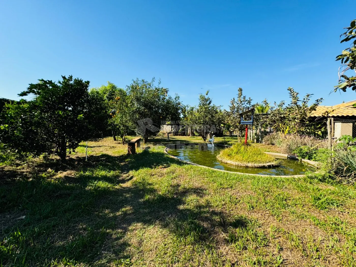 Comprar Casa / Condom&iacute;nio em S&atilde;o Jos&eacute; do Rio Preto R$ 8.500.000,00 - Foto 58