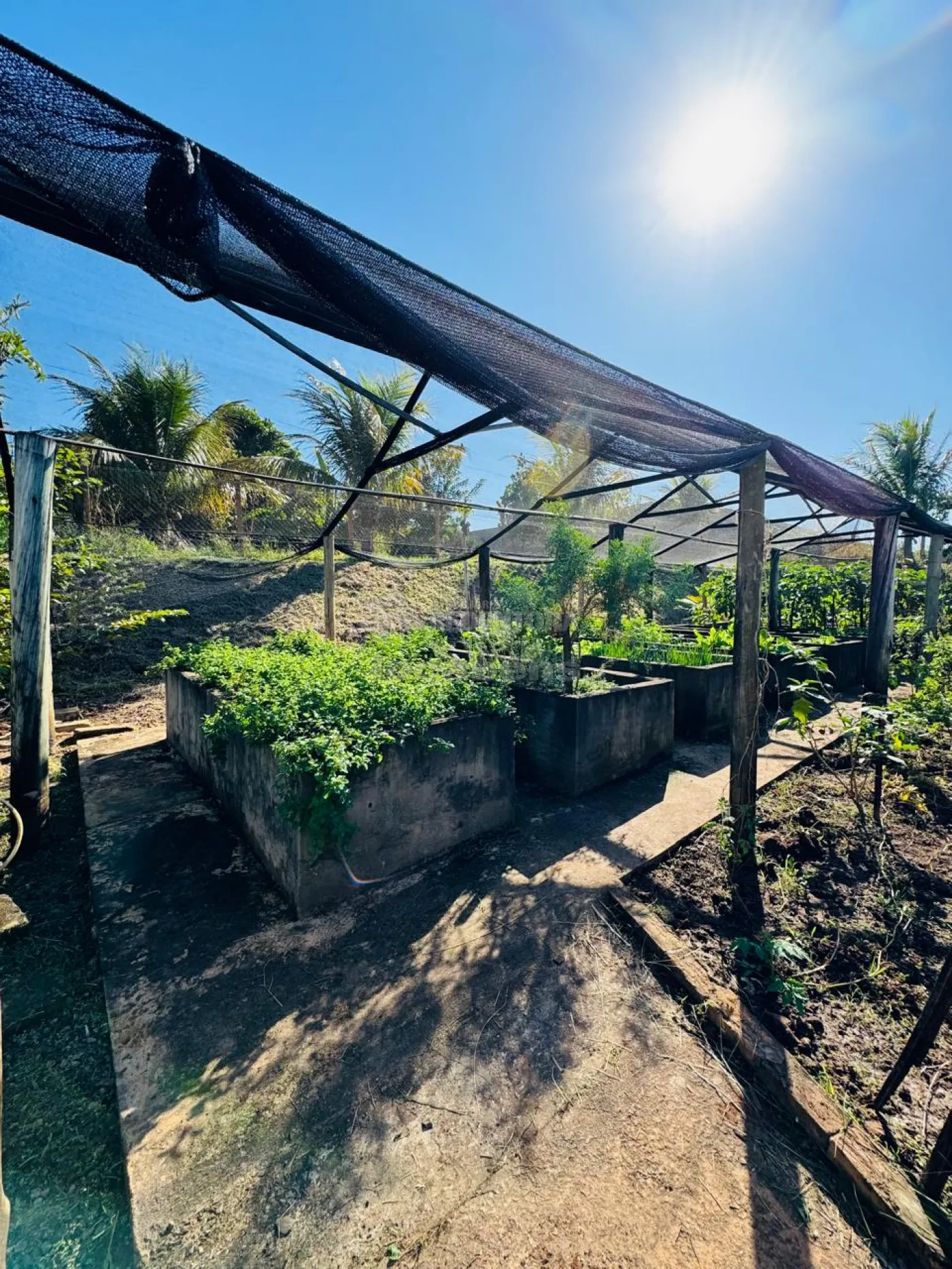 Comprar Casa / Condom&iacute;nio em S&atilde;o Jos&eacute; do Rio Preto R$ 8.500.000,00 - Foto 59