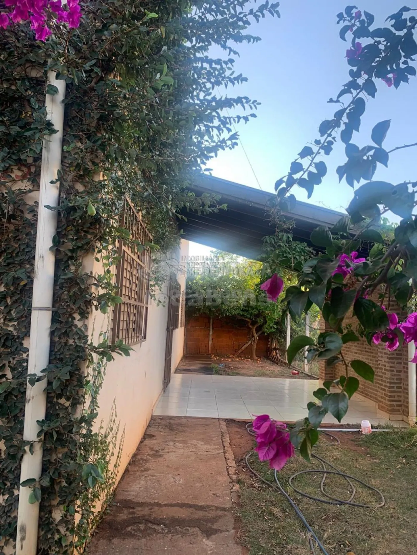 Sítio, 250 m² - Foto 1