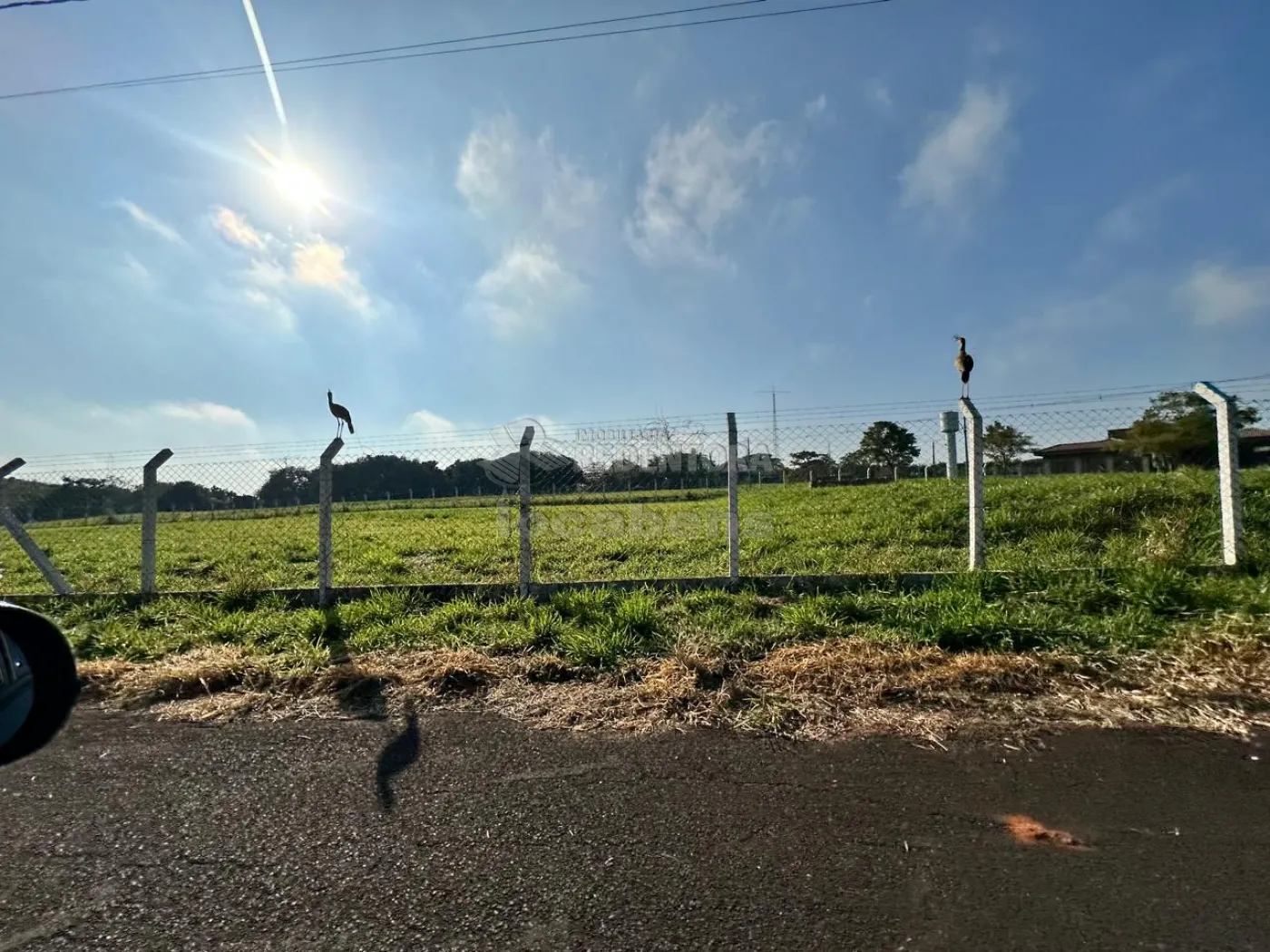 Comprar Terreno / Condom&iacute;nio em S&atilde;o Jos&eacute; do Rio Preto R$ 1.100.000,00 - Foto 24