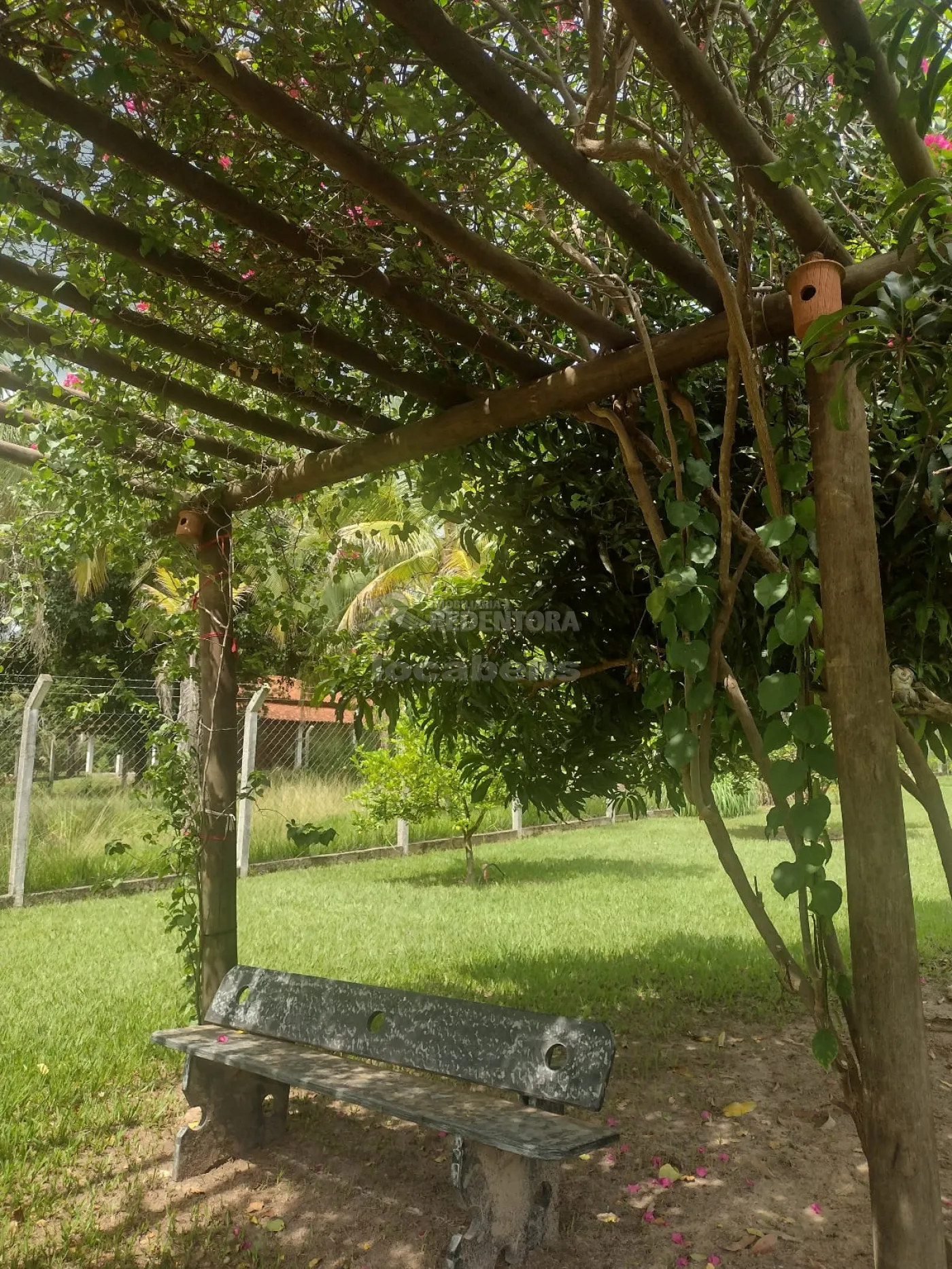 Chácara, 3 quartos, 2746 m² - Foto 5