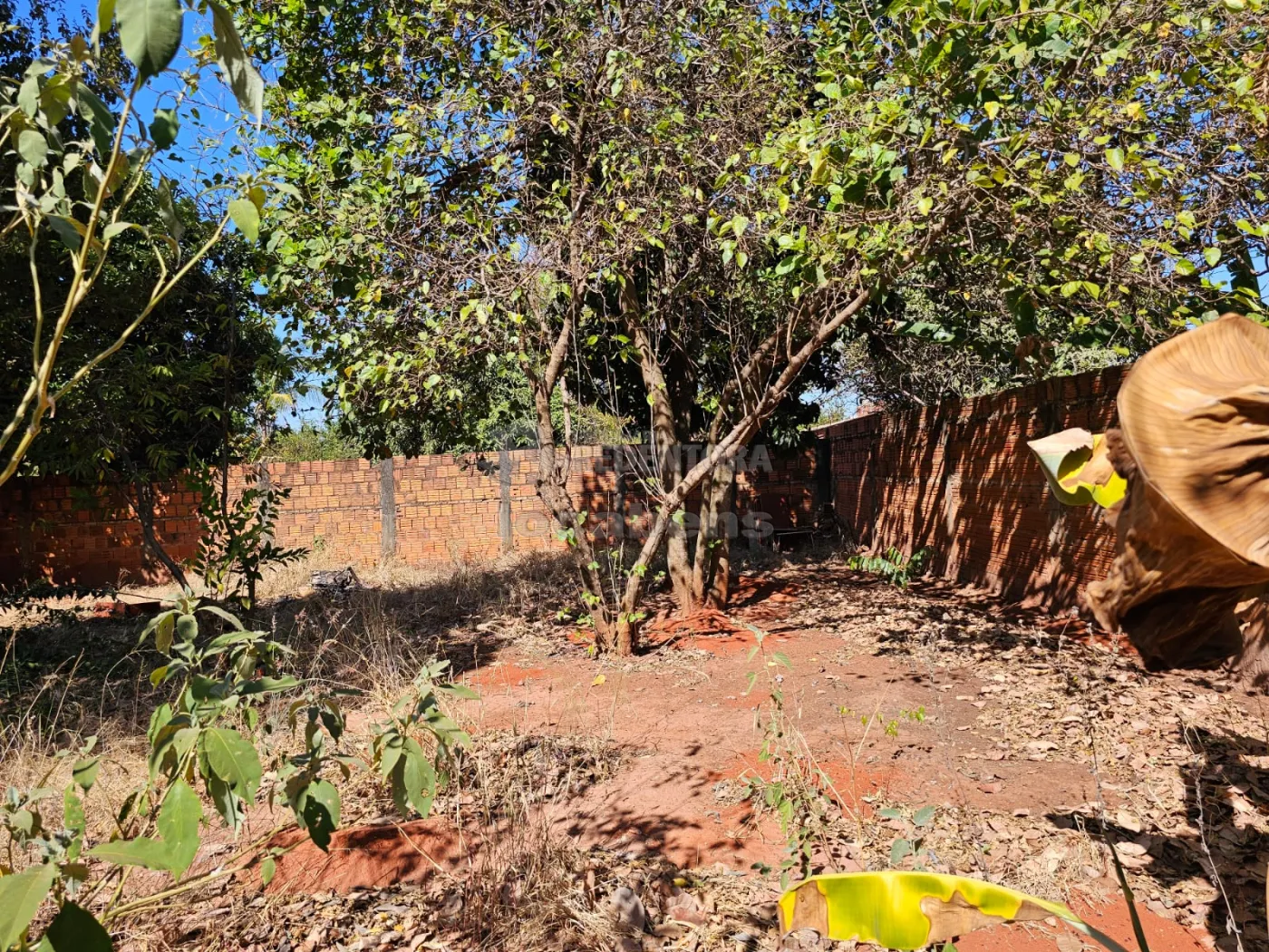 Sítio, 2 quartos, 988 m² - Foto 8