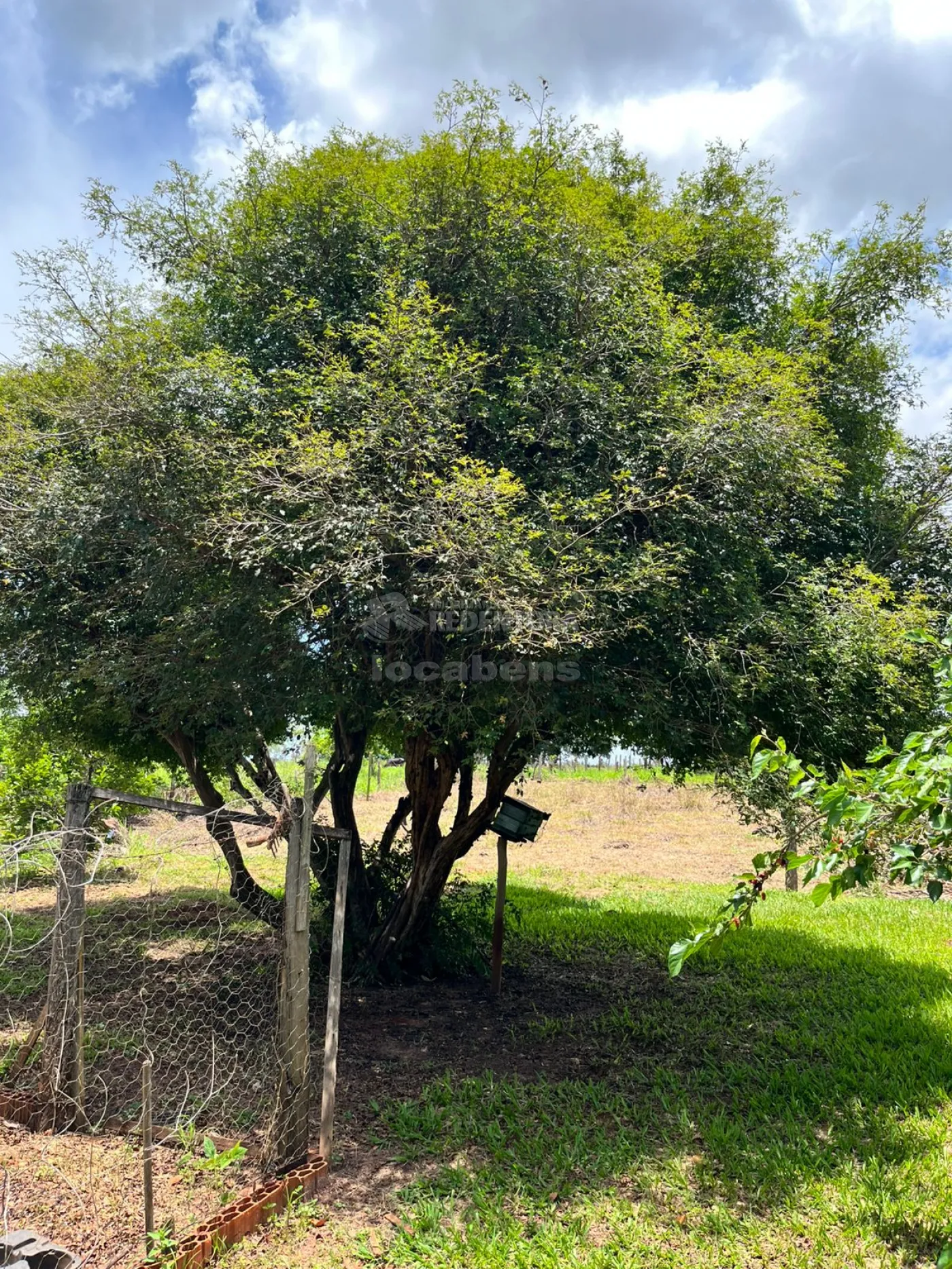 Chácara, 4 hectares - Foto 5