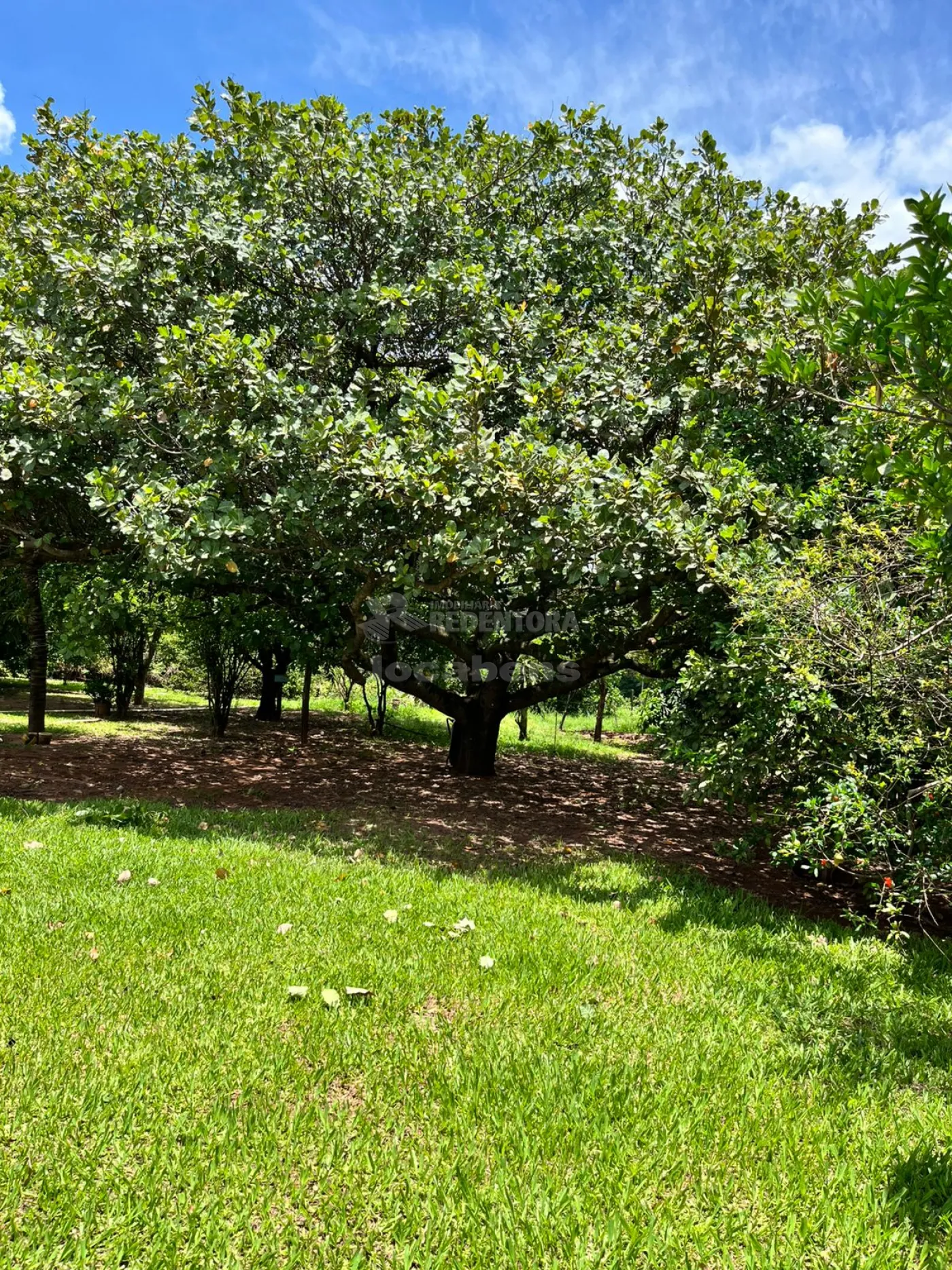 Chácara, 4 hectares - Foto 24