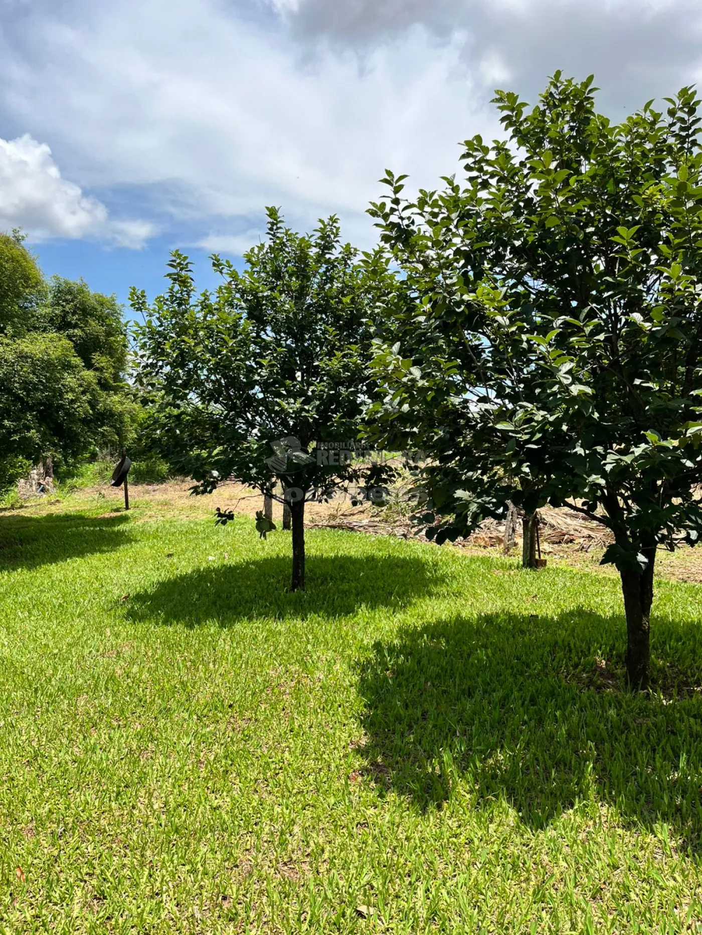 Chácara, 4 hectares - Foto 27