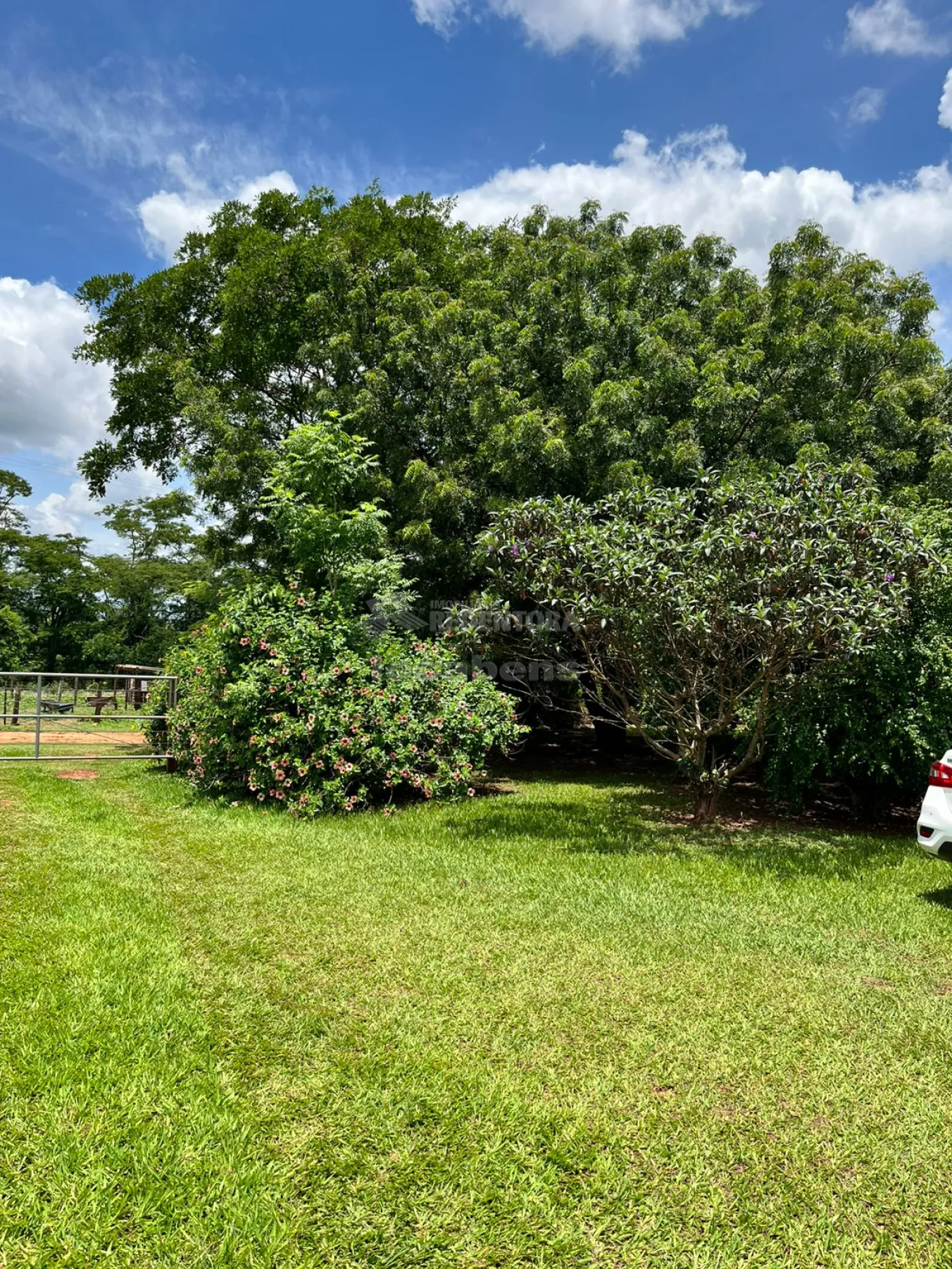 Chácara, 4 hectares - Foto 30