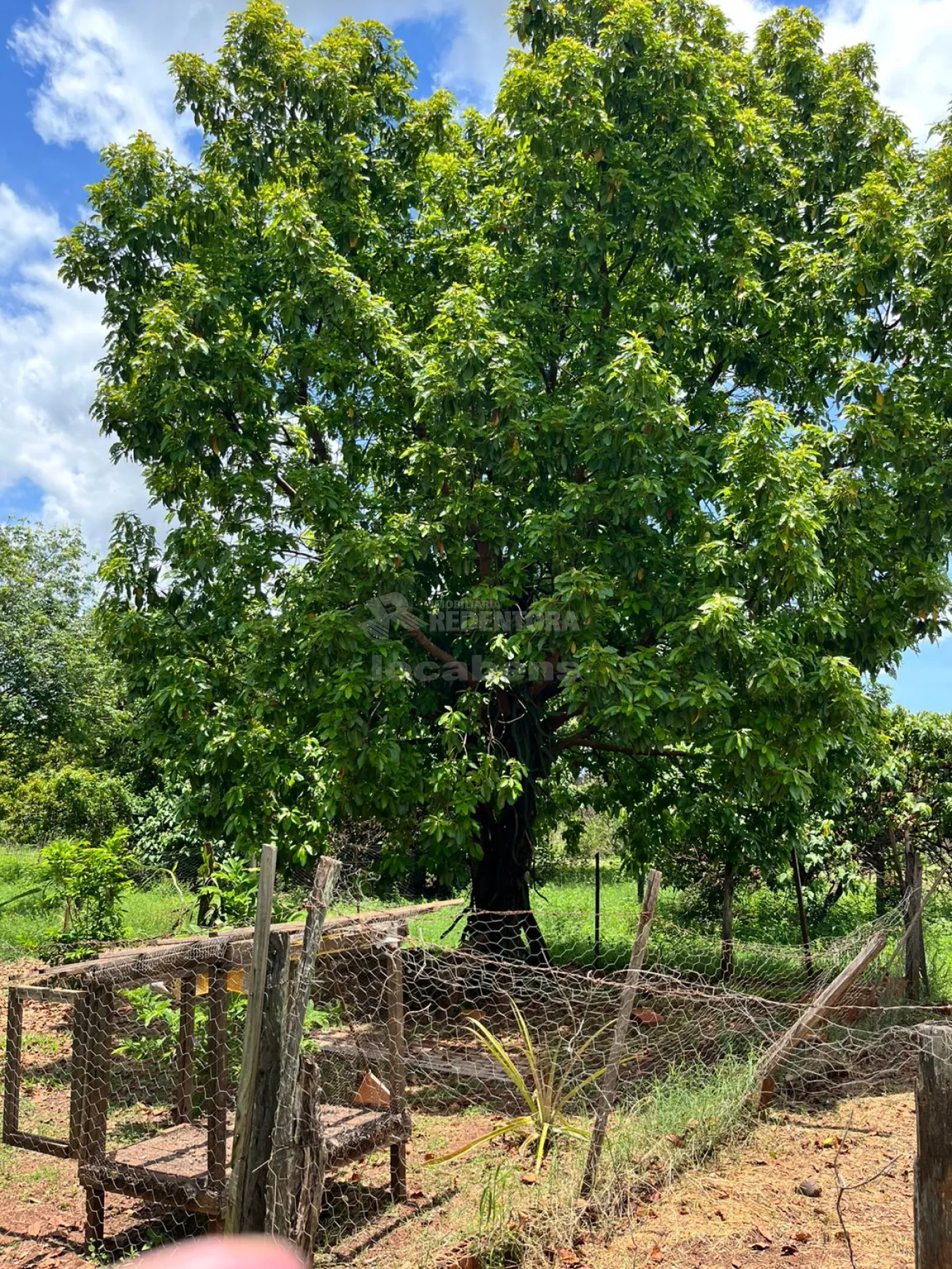 Chácara, 4 hectares - Foto 31