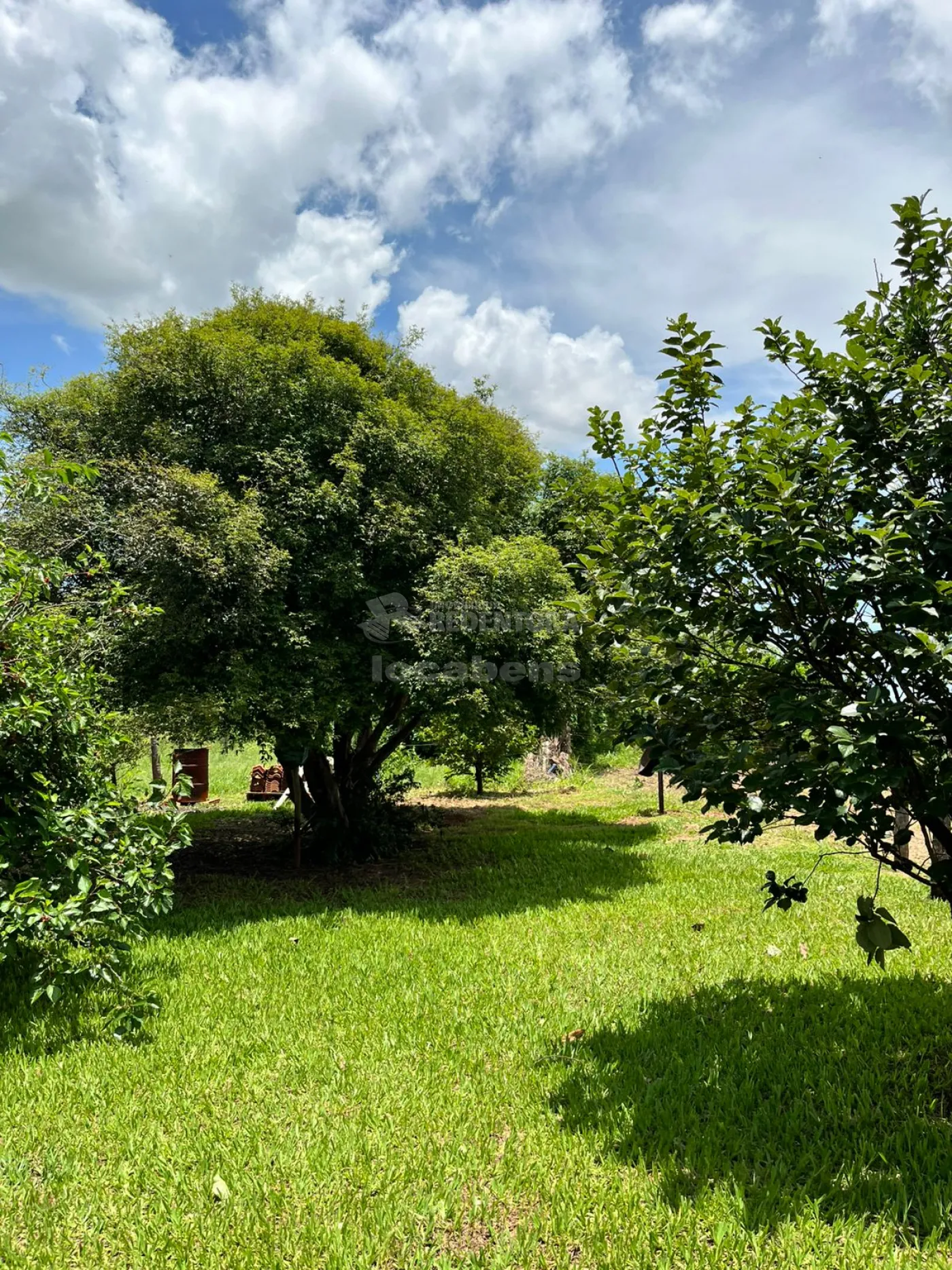 Chácara, 4 hectares - Foto 34