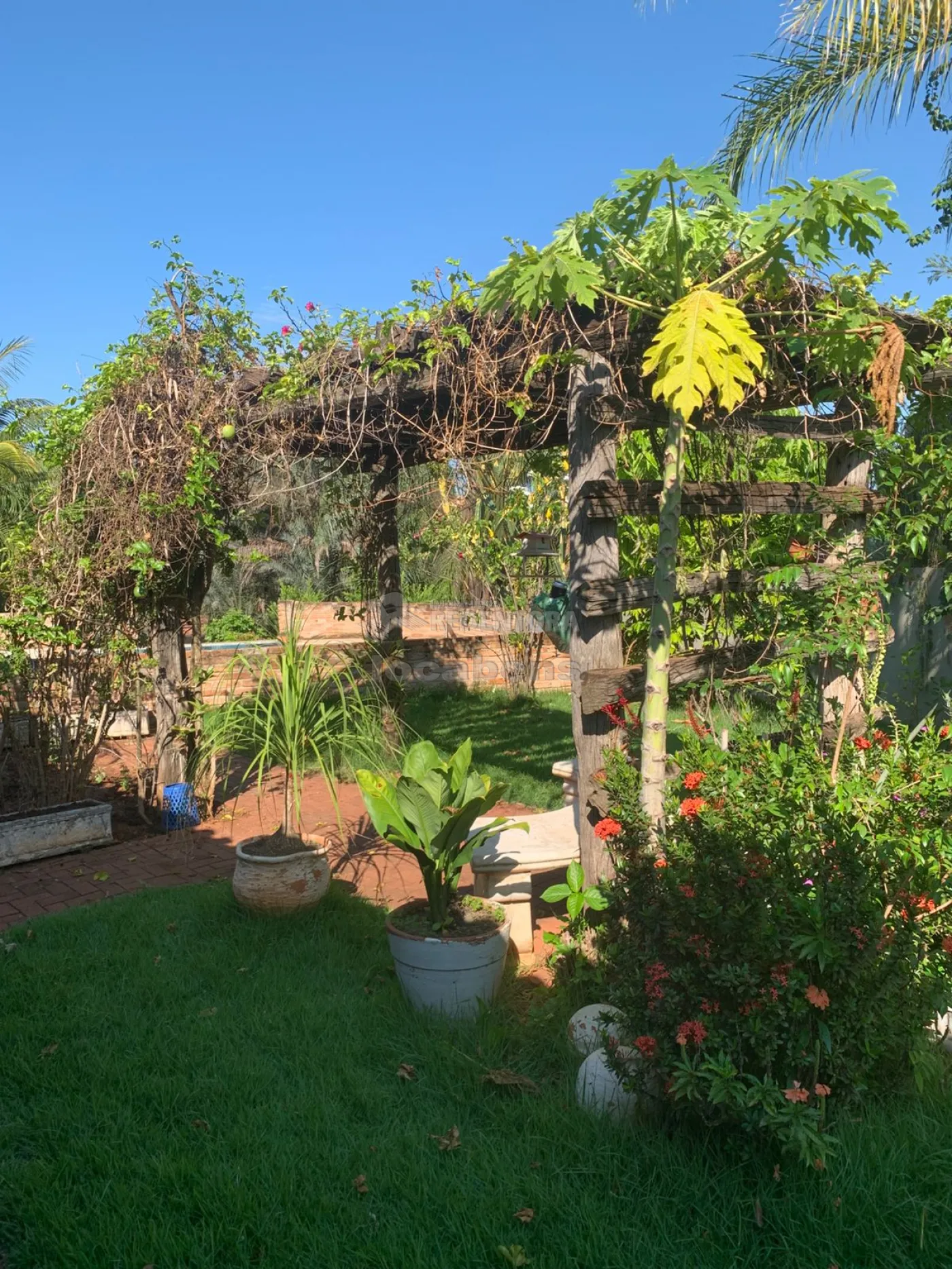 Comprar Casa / Padr&atilde;o em Neves Paulista R$ 1.650.000,00 - Foto 13