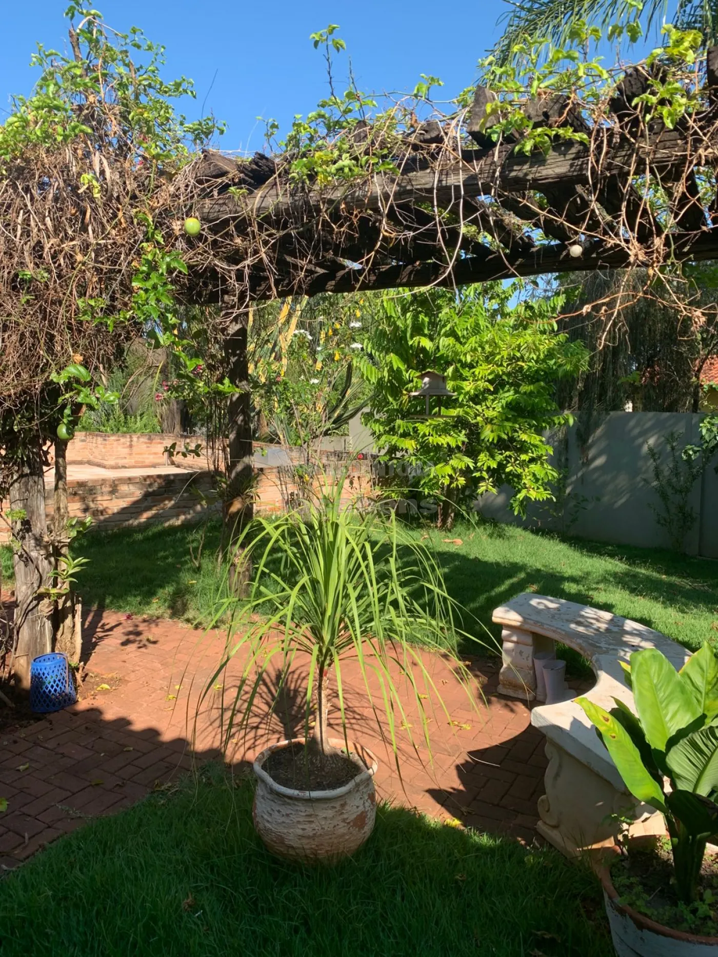 Comprar Casa / Padr&atilde;o em Neves Paulista R$ 1.650.000,00 - Foto 11