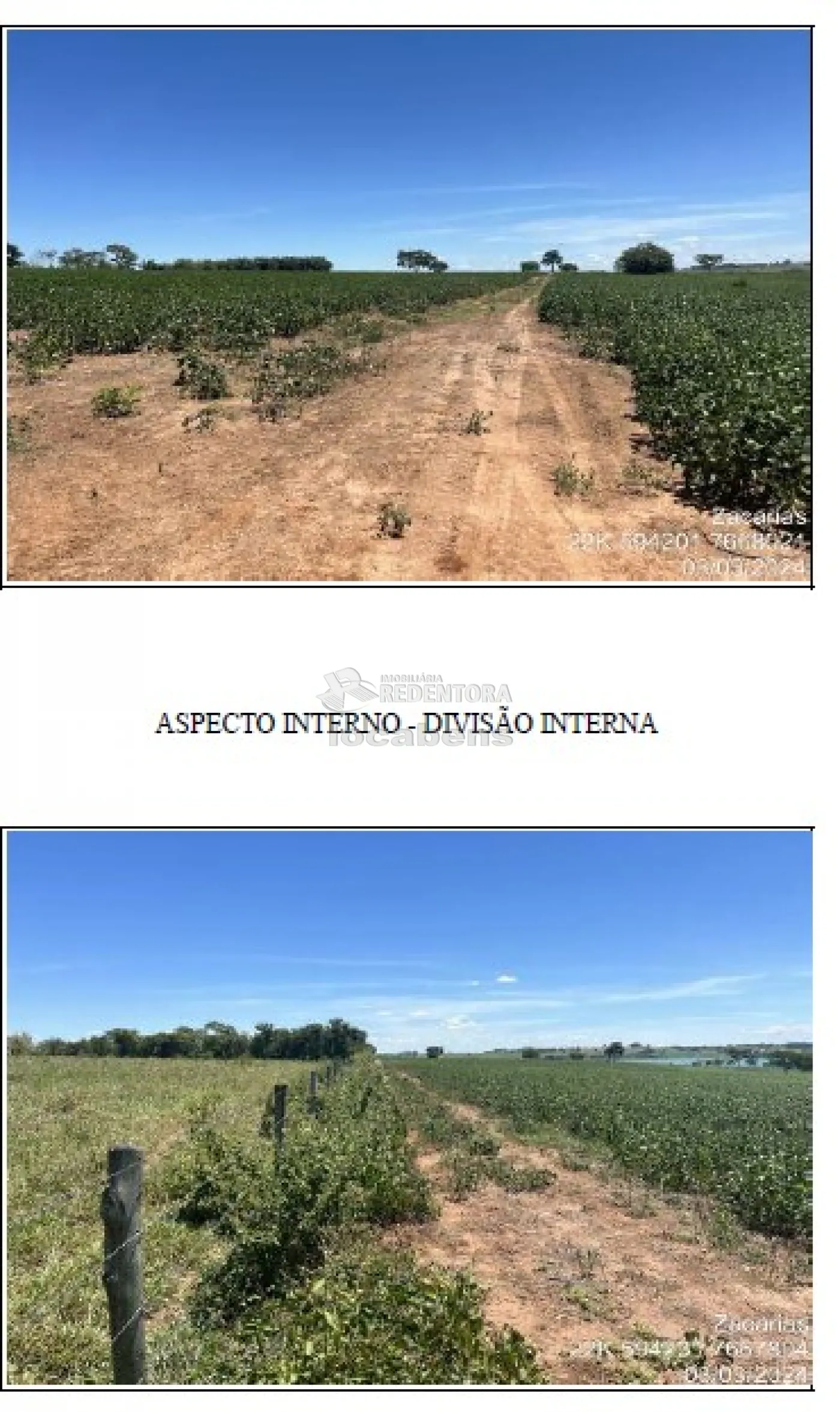 Fazenda, 115 hectares - Foto 4