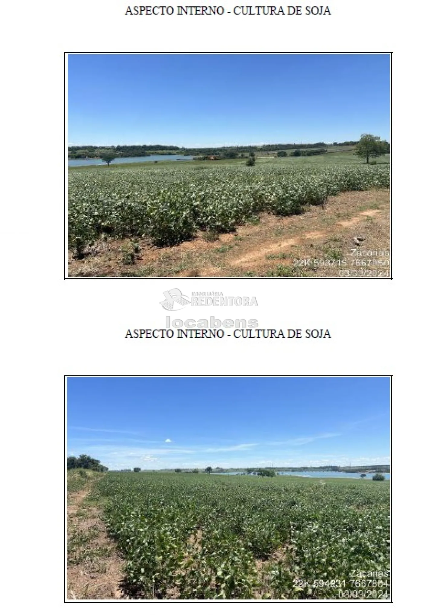 Fazenda, 115 hectares - Foto 6