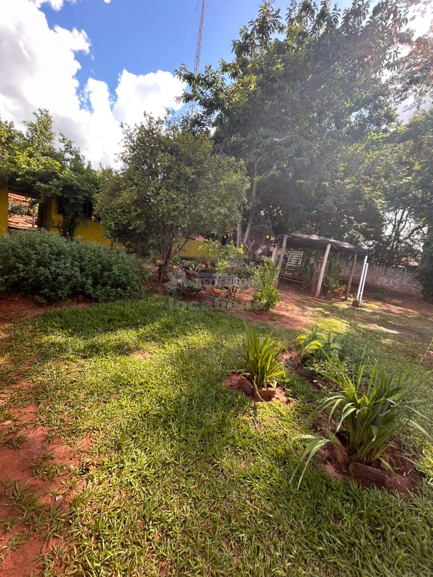 Comprar Rural / Ch&aacute;cara em Neves Paulista R$ 630.000,00 - Foto 18