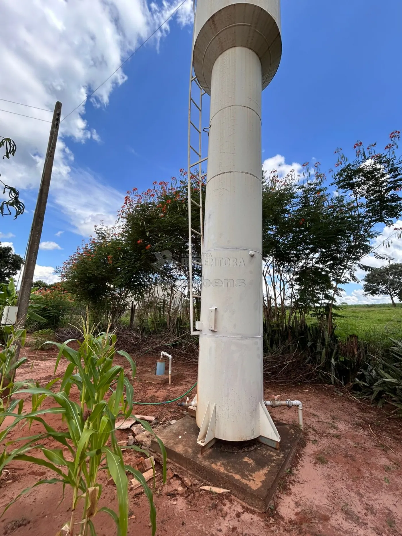 Comprar Rural / Ch&aacute;cara em Neves Paulista R$ 630.000,00 - Foto 16