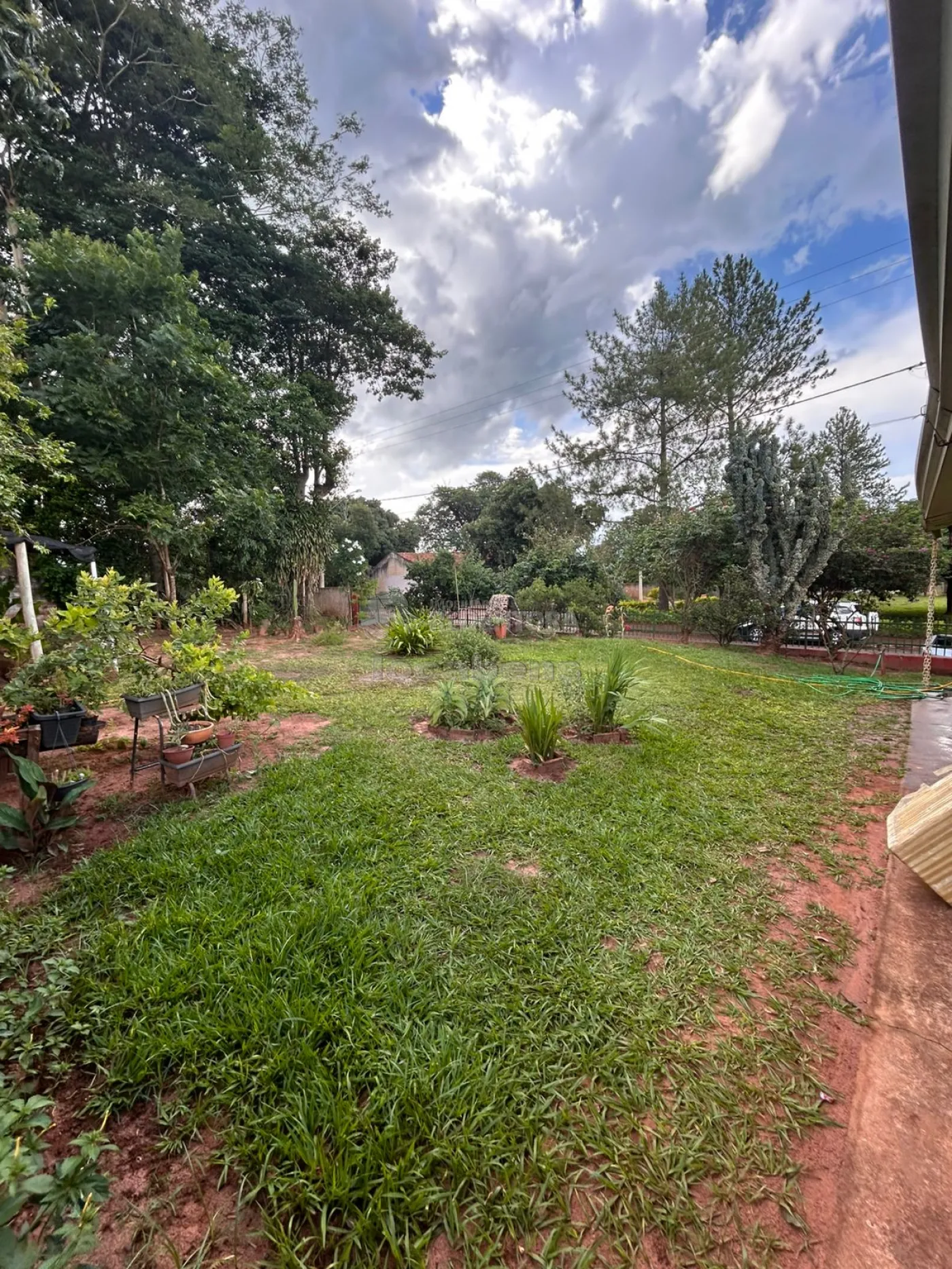 Comprar Rural / Ch&aacute;cara em Neves Paulista R$ 630.000,00 - Foto 17