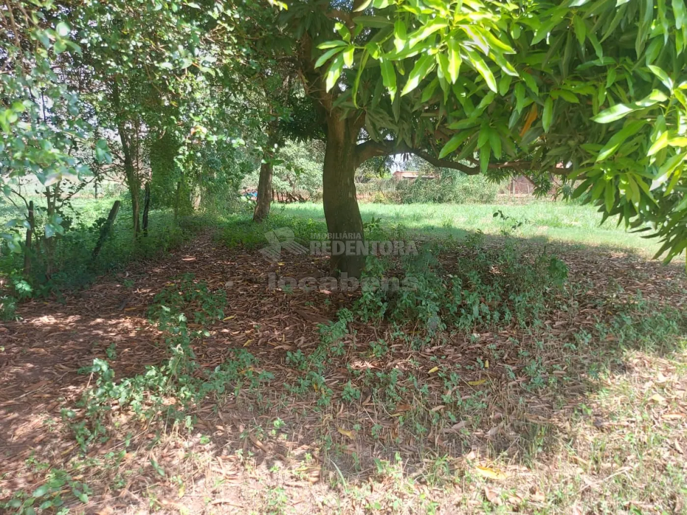 Loteamento e Condomínio, 1505 m² - Foto 6