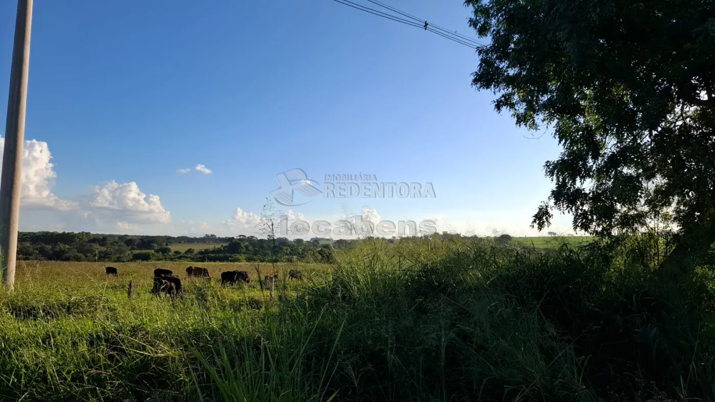 Sítio, 6 hectares - Foto 1