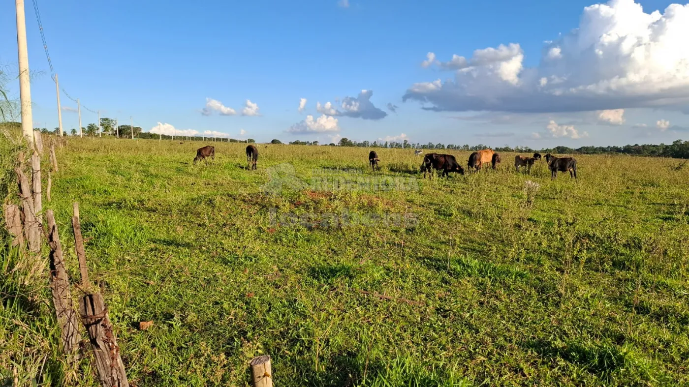 Sítio, 6 hectares - Foto 3