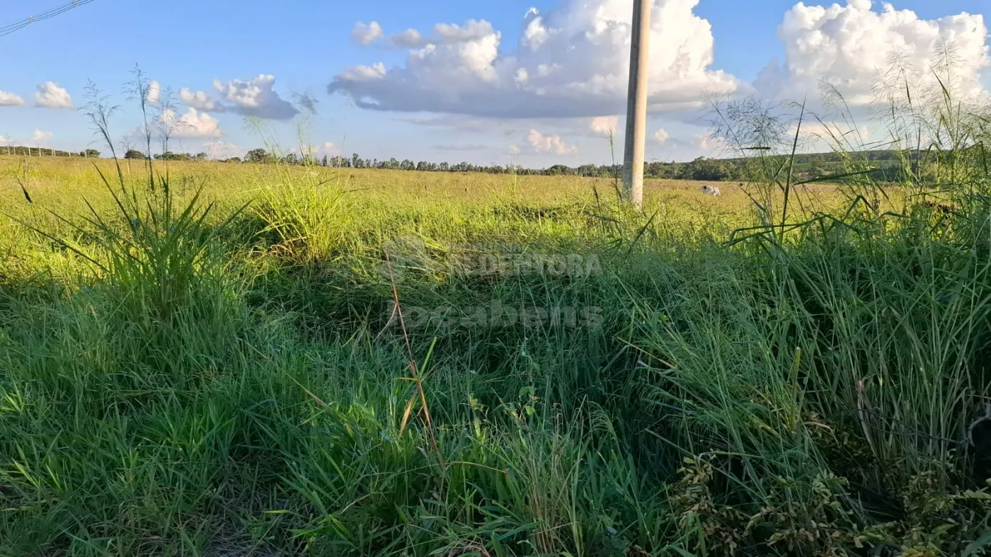 Sítio, 6 hectares - Foto 4