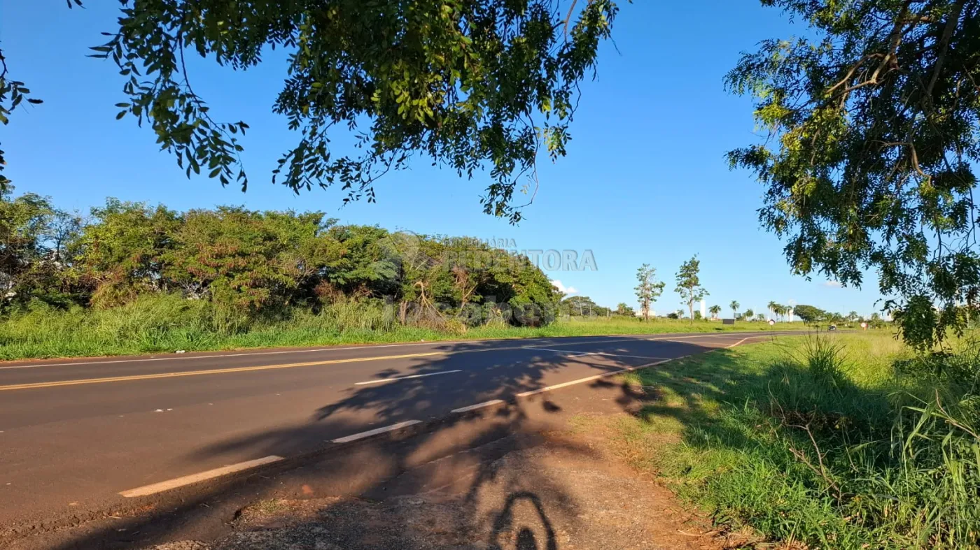 Sítio, 6 hectares - Foto 5