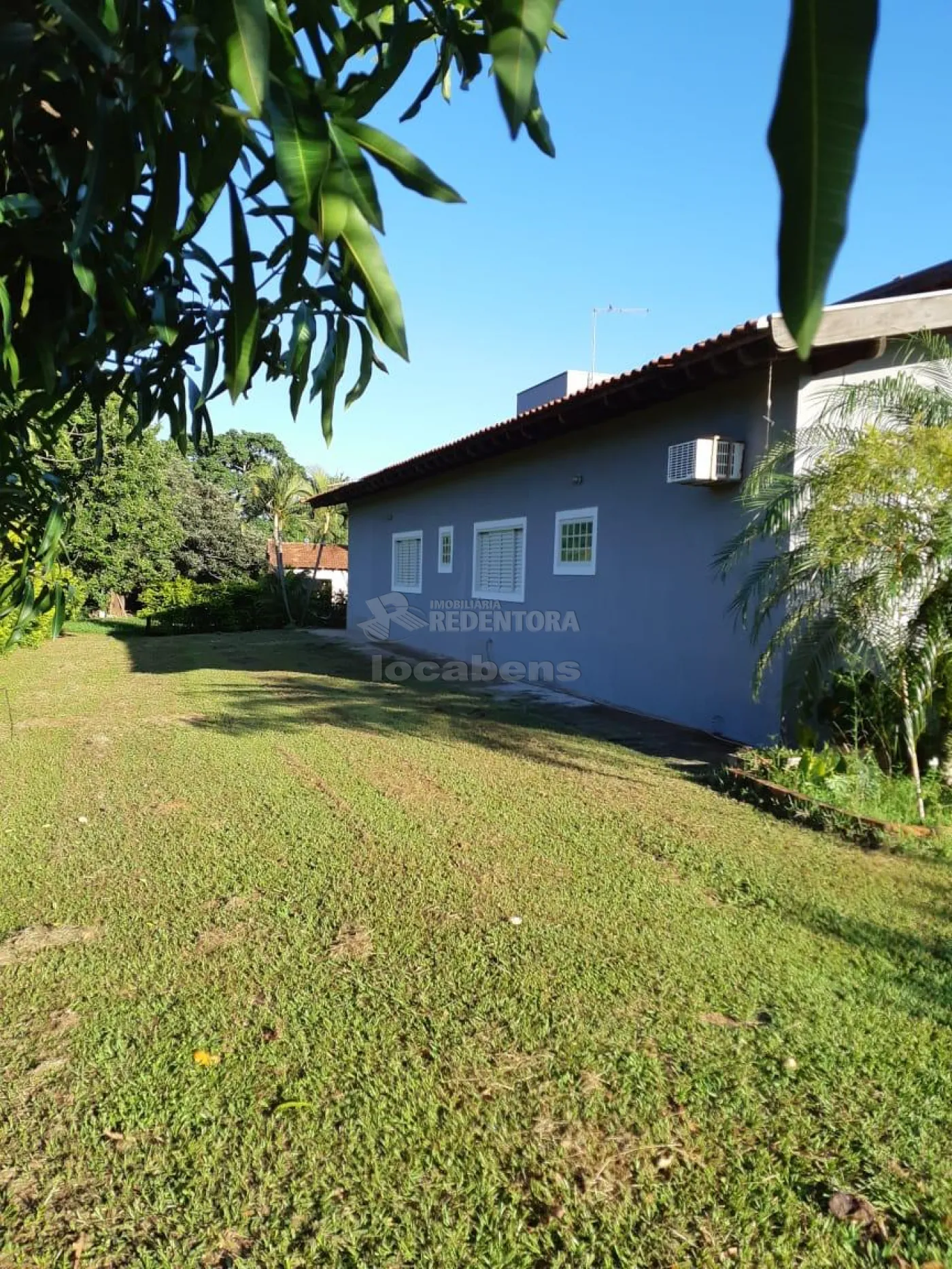 Sítio, 3 hectares - Foto 3