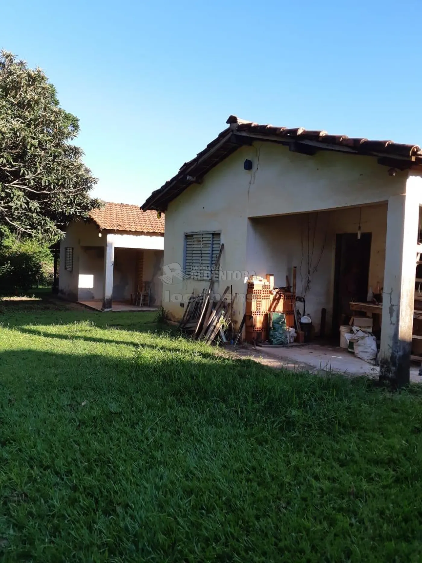 Sítio, 3 hectares - Foto 4