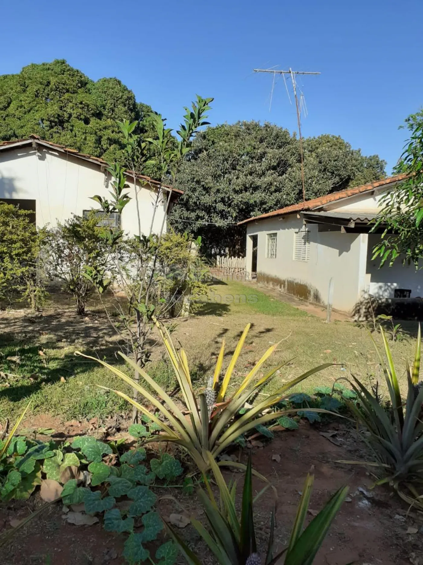 Sítio, 3 hectares - Foto 5