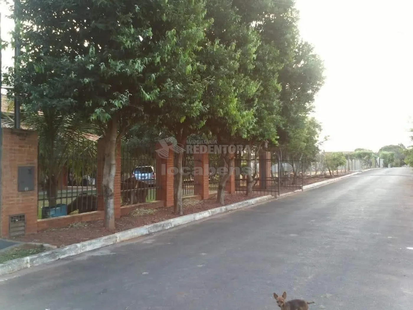 Chácara, 3 quartos, 1020 m² - Foto 7