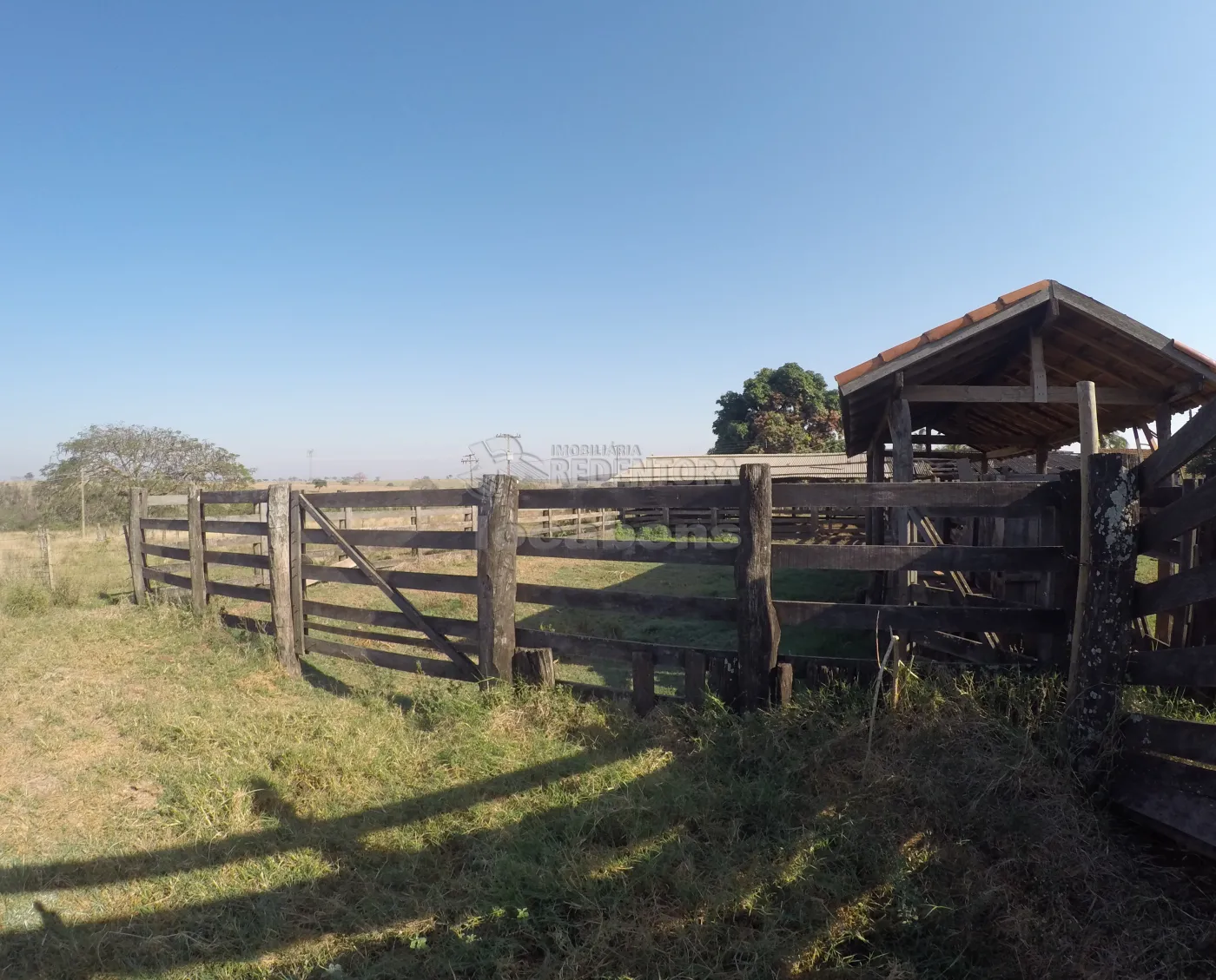 Fazenda, 140 hectares - Foto 7