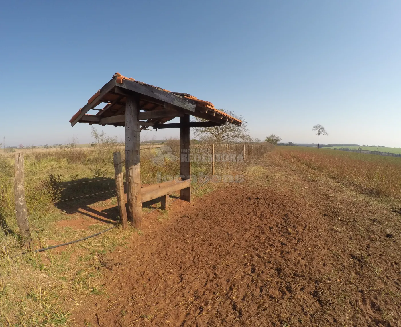 Fazenda, 140 hectares - Foto 18