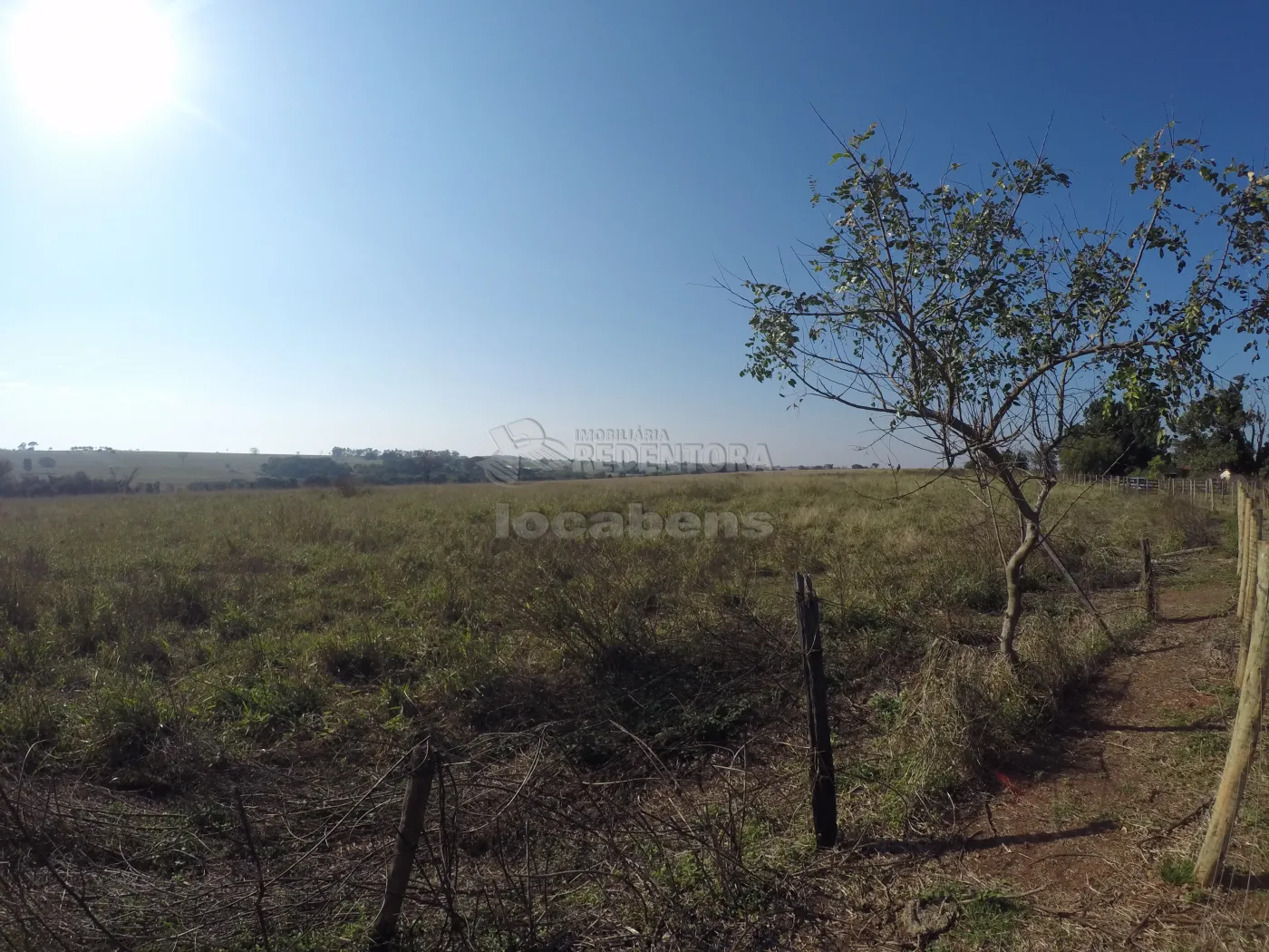 Fazenda, 140 hectares - Foto 24