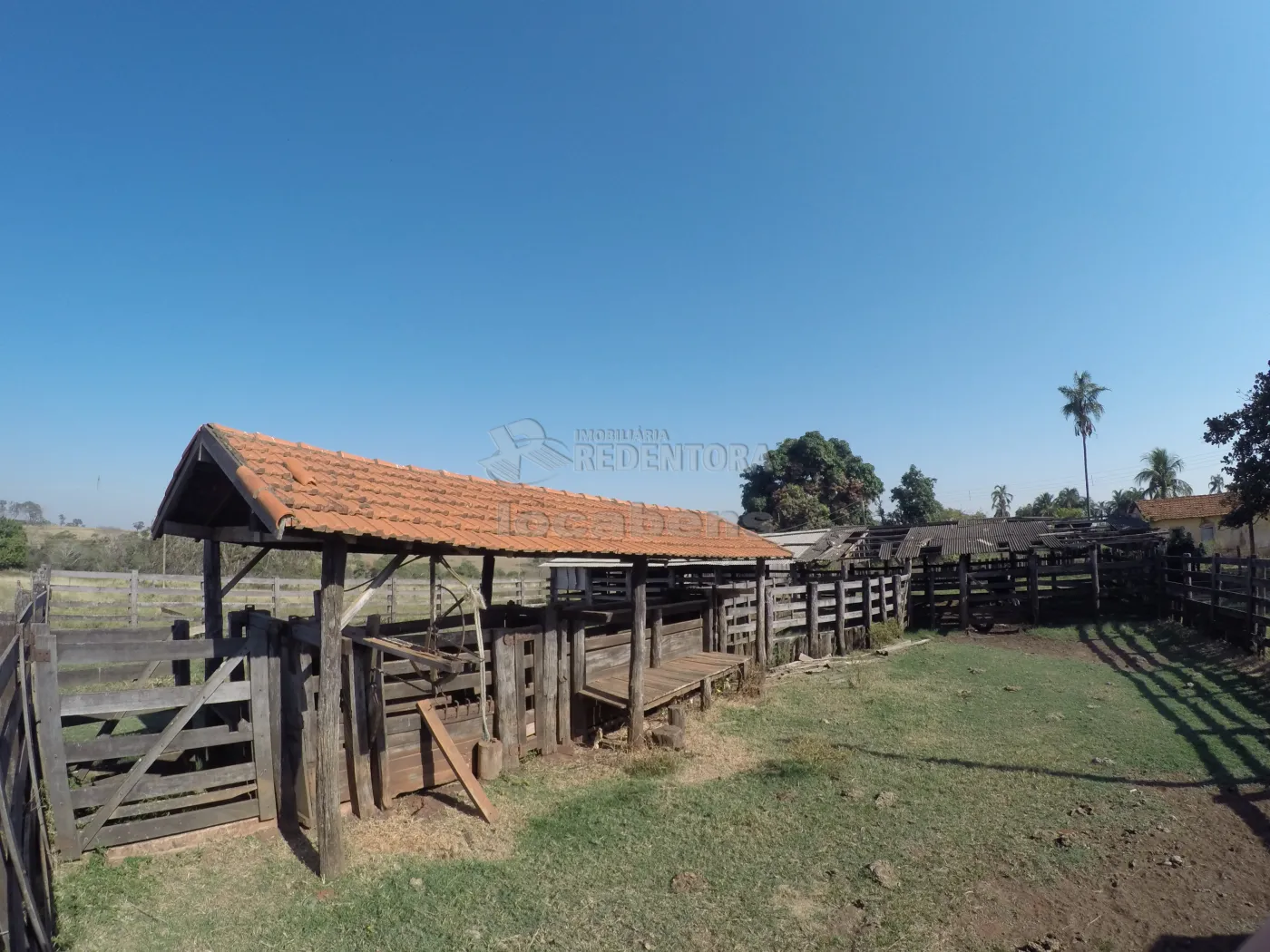 Fazenda, 140 hectares - Foto 33