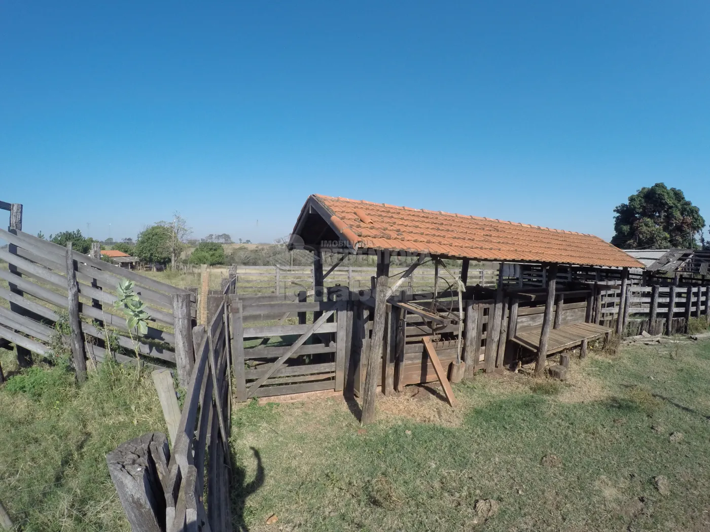 Fazenda, 140 hectares - Foto 34