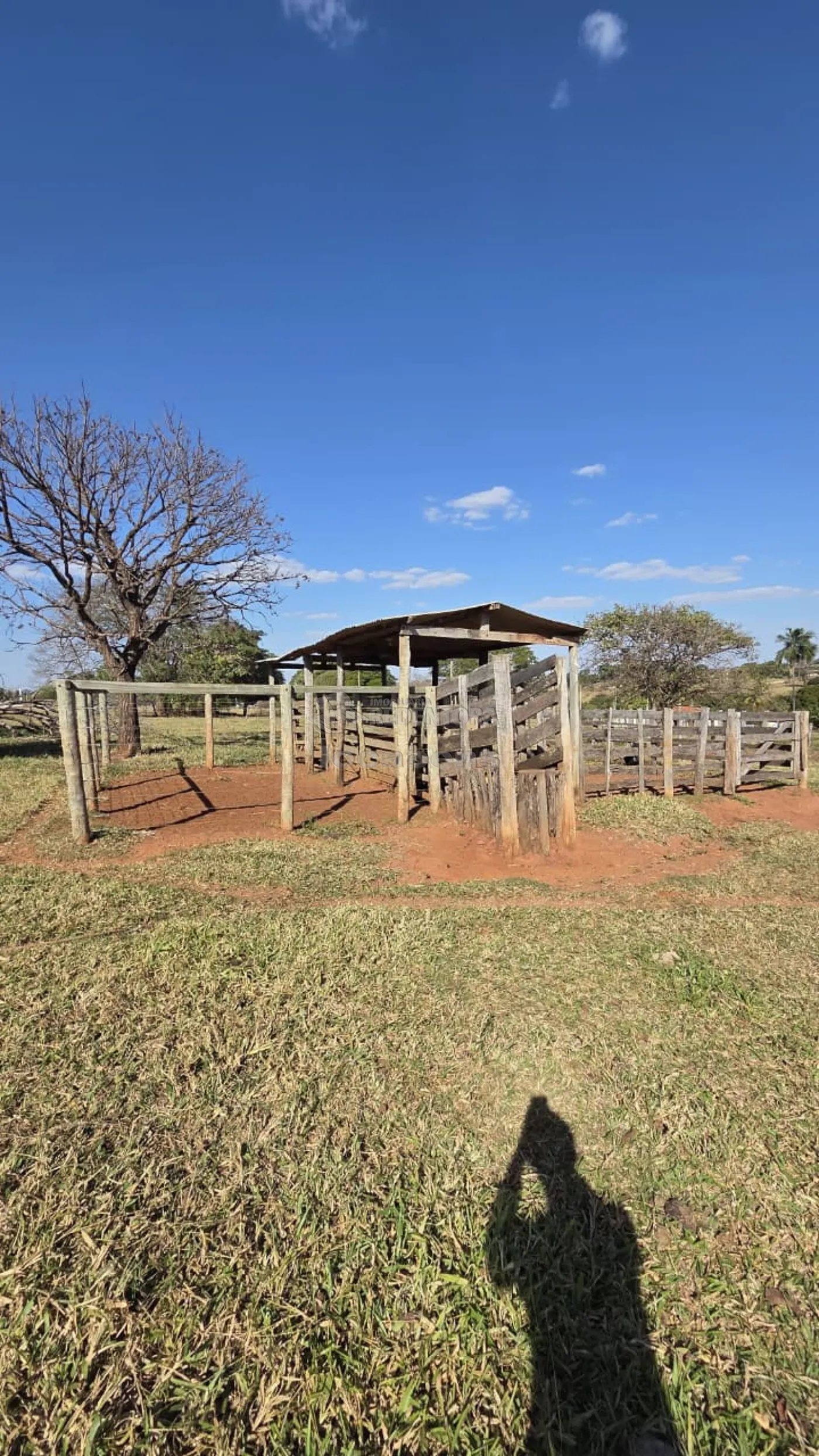 Sítio, 3 quartos, 11 hectares - Foto 9