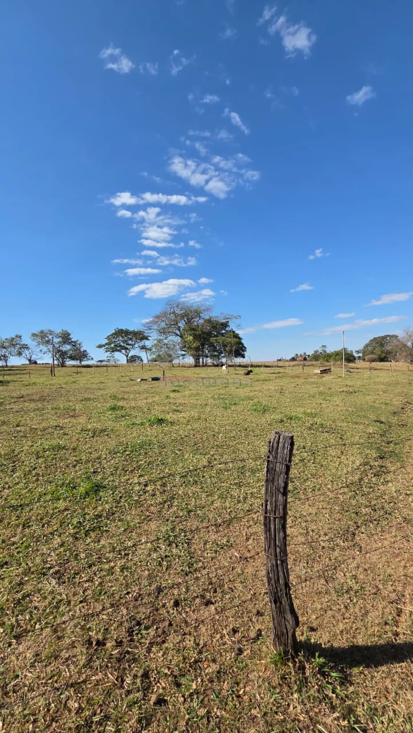 Sítio, 3 quartos, 11 hectares - Foto 12