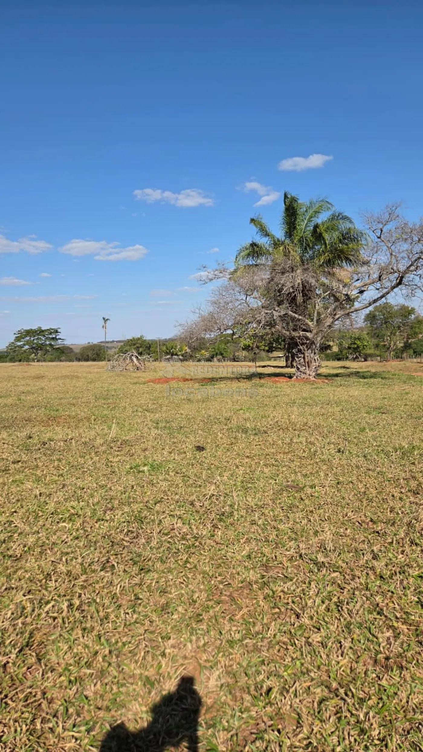 Sítio, 3 quartos, 11 hectares - Foto 5