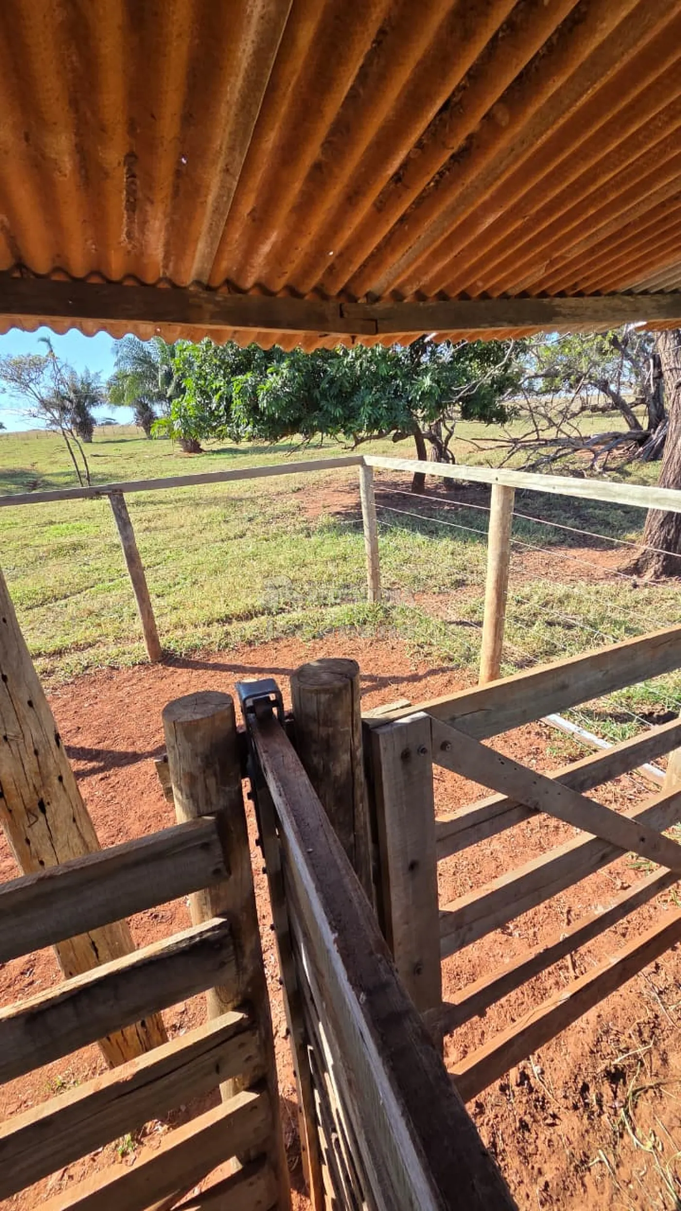 Sítio, 3 quartos, 11 hectares - Foto 7