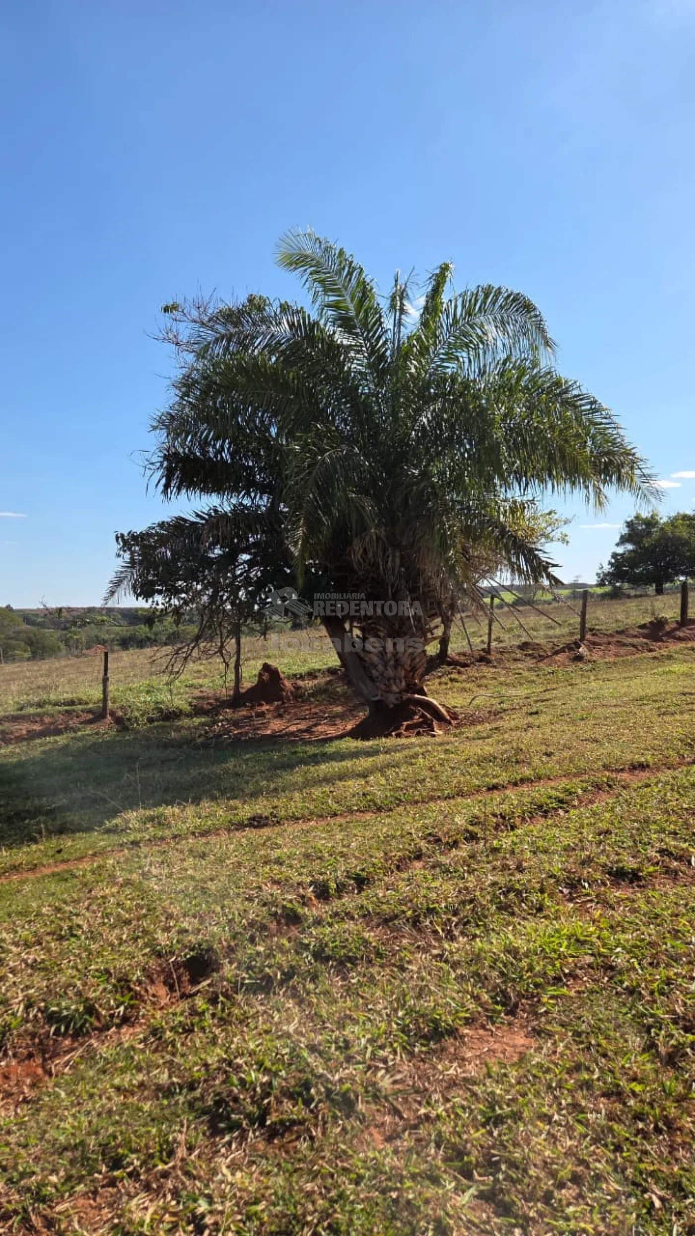 Sítio, 3 quartos, 11 hectares - Foto 1