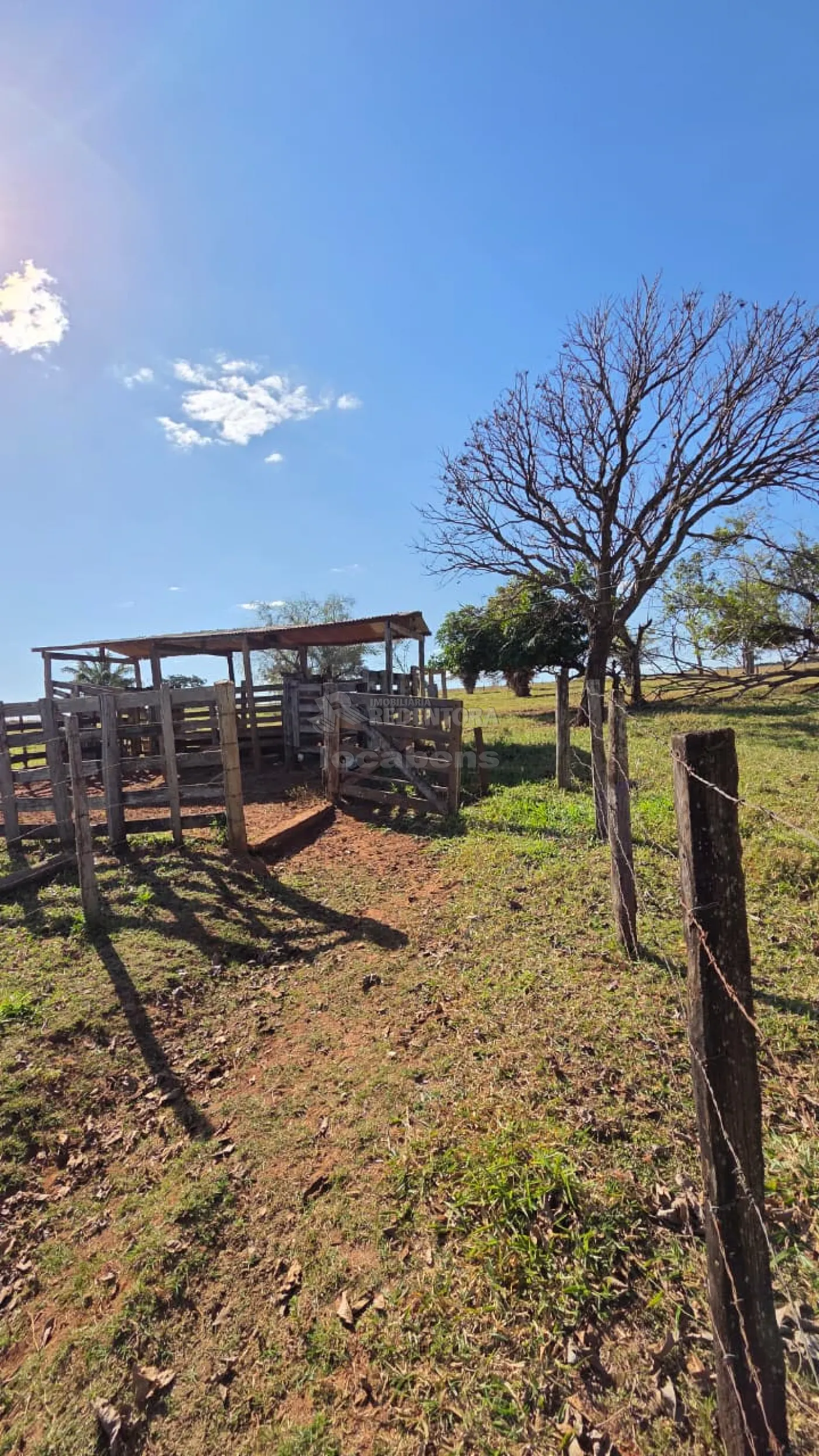 Sítio, 3 quartos, 11 hectares - Foto 14