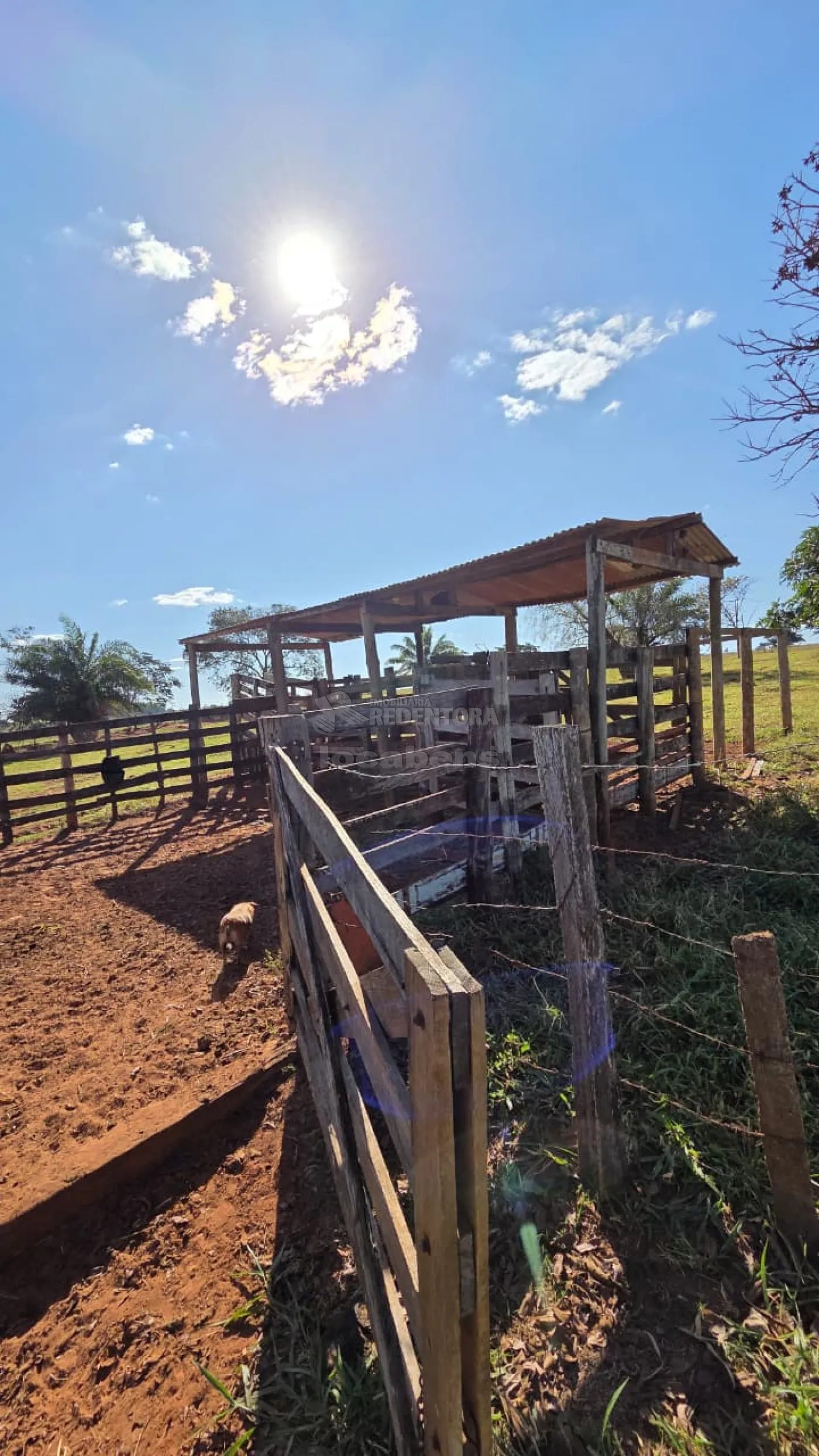 Sítio, 3 quartos, 11 hectares - Foto 15