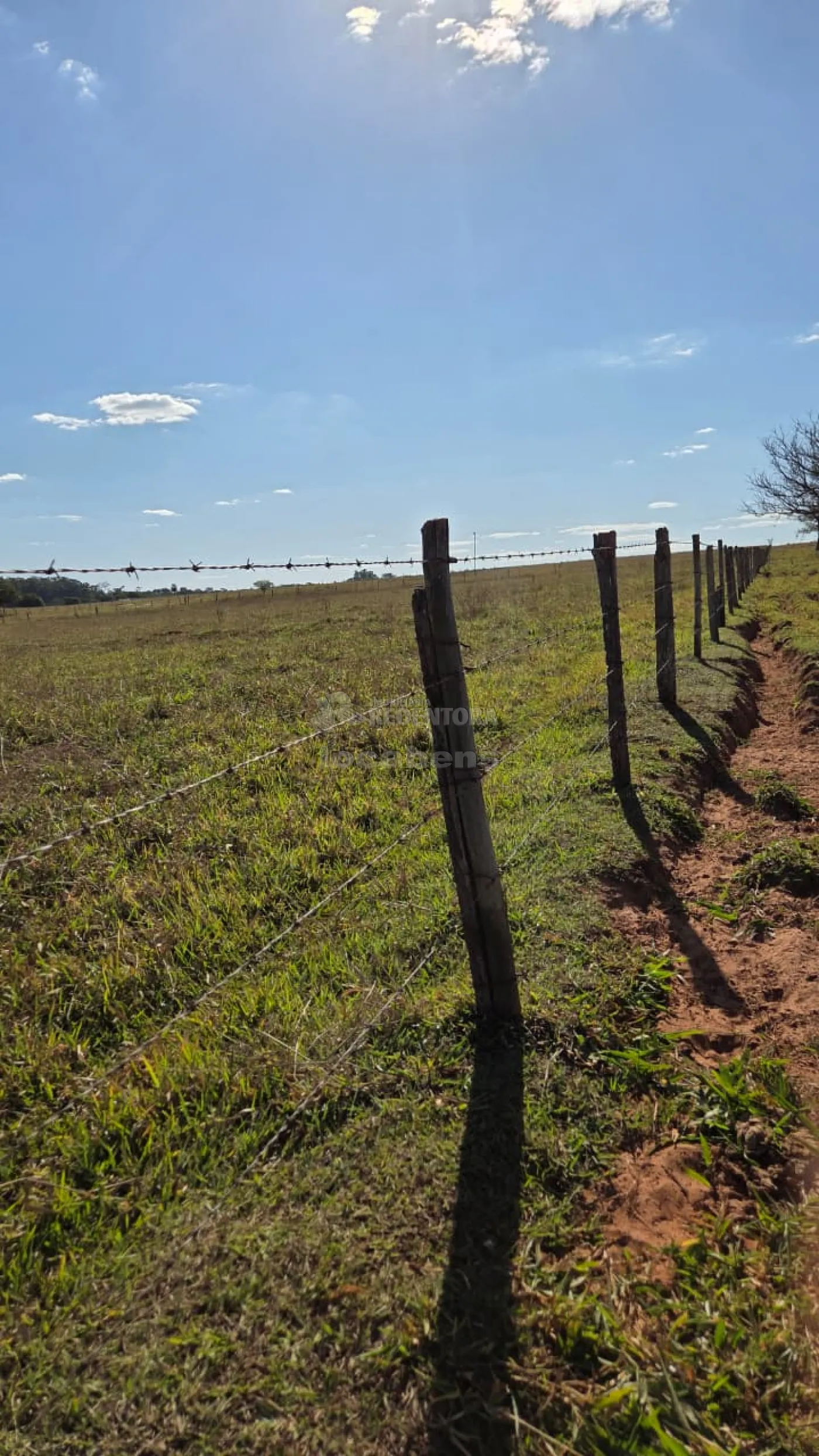 Sítio, 3 quartos, 11 hectares - Foto 16