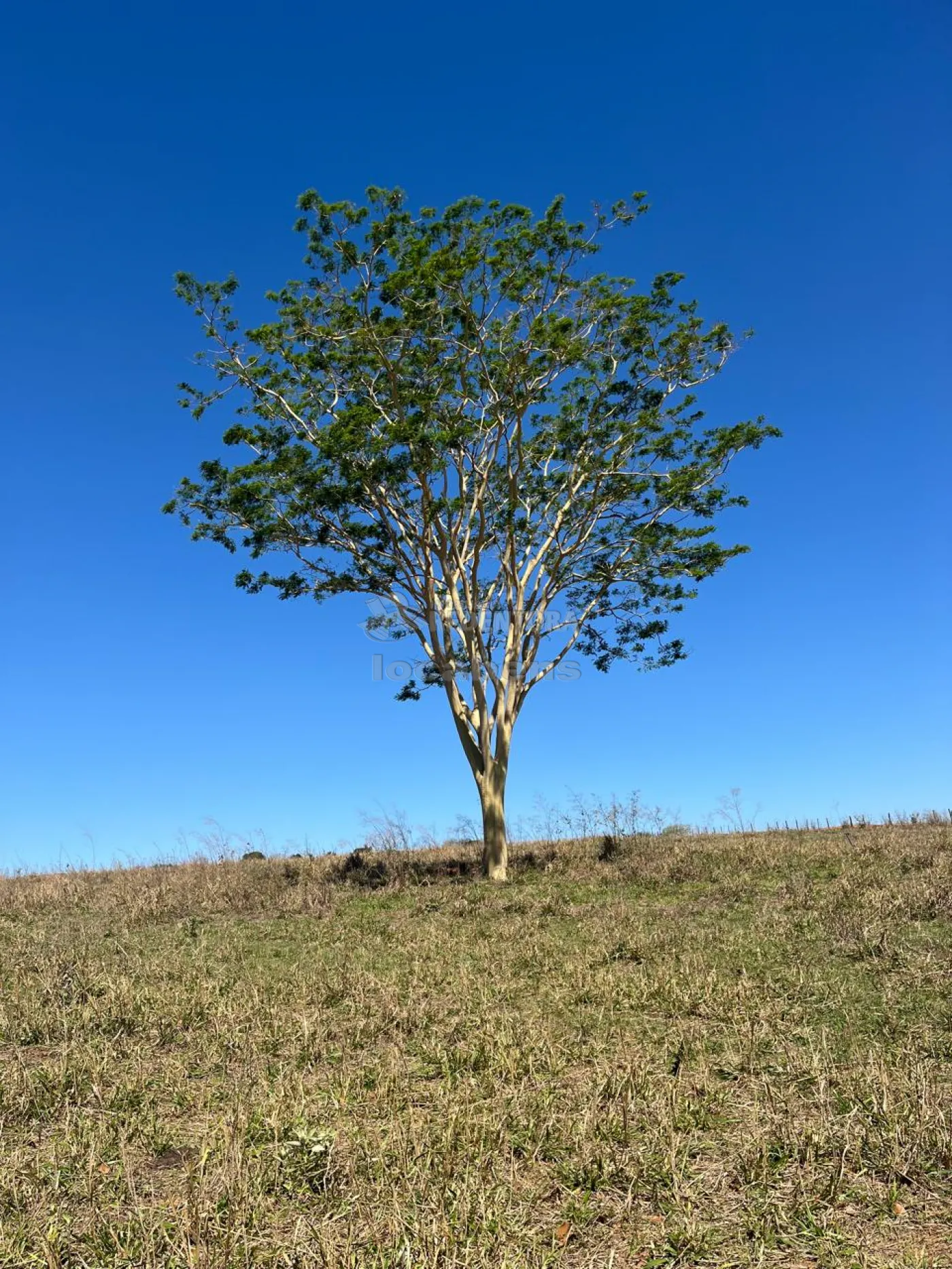 Fazenda, 19 hectares - Foto 1