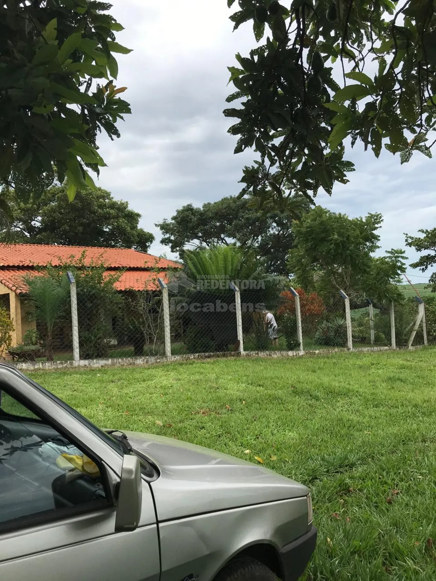 Fazenda, 19 hectares - Foto 4