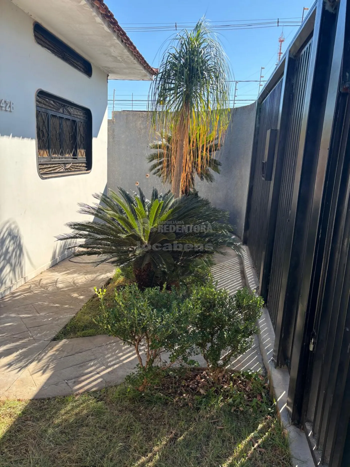 Alugar Casa / Padr&atilde;o em S&atilde;o Jos&eacute; do Rio Preto R$ 2.500,00 - Foto 1