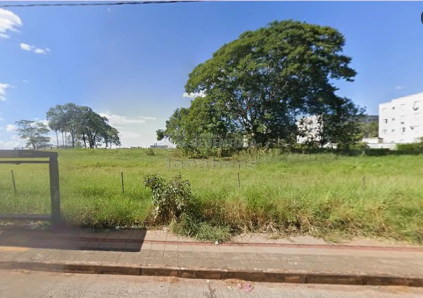 Alugar Terreno / &Aacute;rea em S&atilde;o Jos&eacute; do Rio Preto R$ 50.000,00 - Foto 2