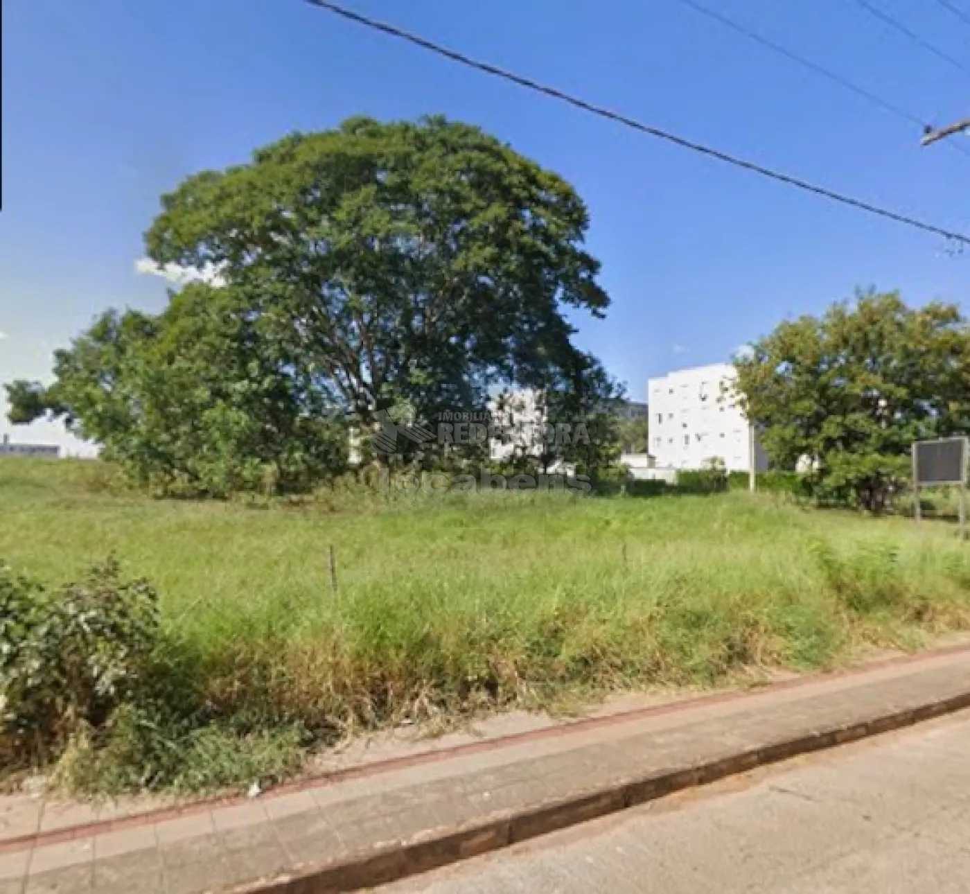 Alugar Terreno / &Aacute;rea em S&atilde;o Jos&eacute; do Rio Preto R$ 50.000,00 - Foto 9
