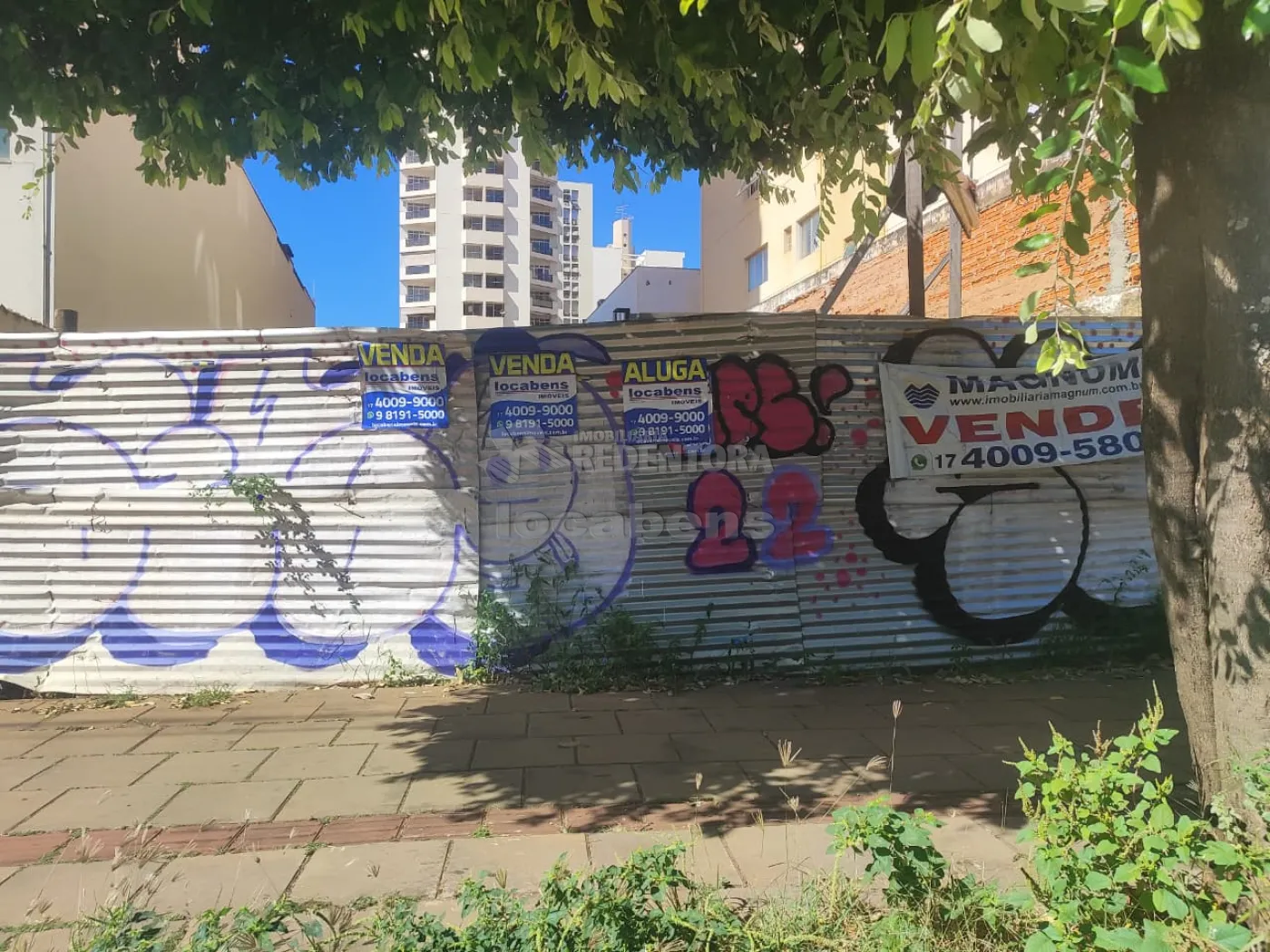 Alugar Terreno / &Aacute;rea em S&atilde;o Jos&eacute; do Rio Preto R$ 4.000,00 - Foto 8